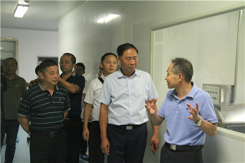 中國(guó)靈芝十大品牌|仙客來(lái)靈芝|仙客來(lái)靈芝破壁孢子粉|仙客來(lái)孢子油|仙客來(lái)靈芝飲片|仙客來(lái)破壁孢子粉|仙客來(lái)靈芝中藥飲片|馳名商標(biāo)|www.stfilm.cn| 中國(guó)靈芝十大品牌|仙客來(lái)靈芝|仙客來(lái)靈芝破壁孢子粉|仙客來(lái)孢子油|仙客來(lái)靈芝飲片|仙客來(lái)破壁孢子粉|仙客來(lái)靈芝中藥飲片|馳名商標(biāo)|www.stfilm.cn|