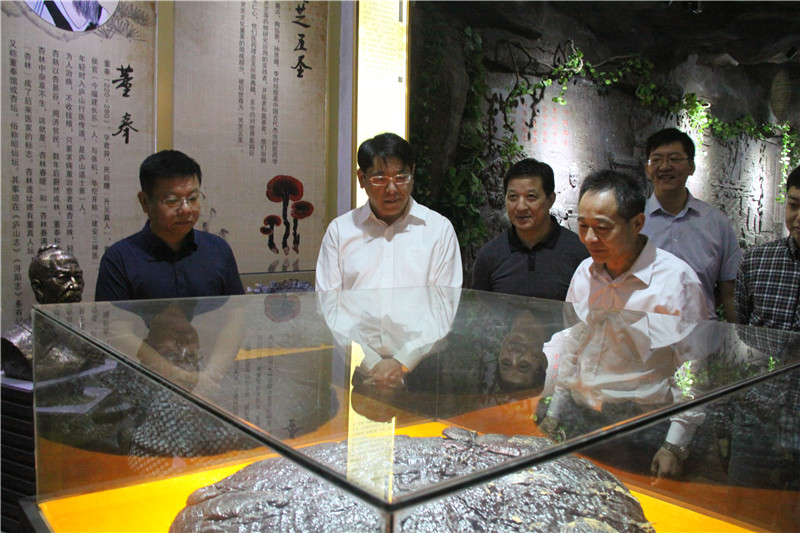 中國靈芝十大品牌|仙客來靈芝|仙客來靈芝破壁孢子粉|仙客來孢子油|仙客來靈芝飲片|仙客來破壁孢子粉|仙客來靈芝中藥飲片|馳名商標|www.stfilm.cn| 中國靈芝十大品牌|仙客來靈芝|仙客來靈芝破壁孢子粉|仙客來孢子油|仙客來靈芝飲片|仙客來破壁孢子粉|仙客來靈芝中藥飲片|馳名商標|www.stfilm.cn|