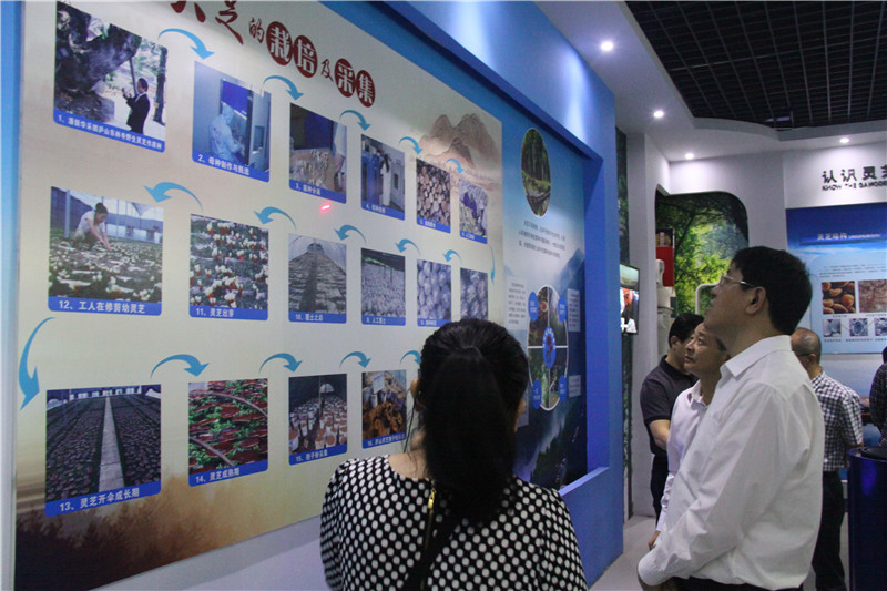 中國靈芝十大品牌|仙客來靈芝|仙客來靈芝破壁孢子粉|仙客來孢子油|仙客來靈芝飲片|仙客來破壁孢子粉|仙客來靈芝中藥飲片|馳名商標|www.stfilm.cn| 中國靈芝十大品牌|仙客來靈芝|仙客來靈芝破壁孢子粉|仙客來孢子油|仙客來靈芝飲片|仙客來破壁孢子粉|仙客來靈芝中藥飲片|馳名商標|www.stfilm.cn|