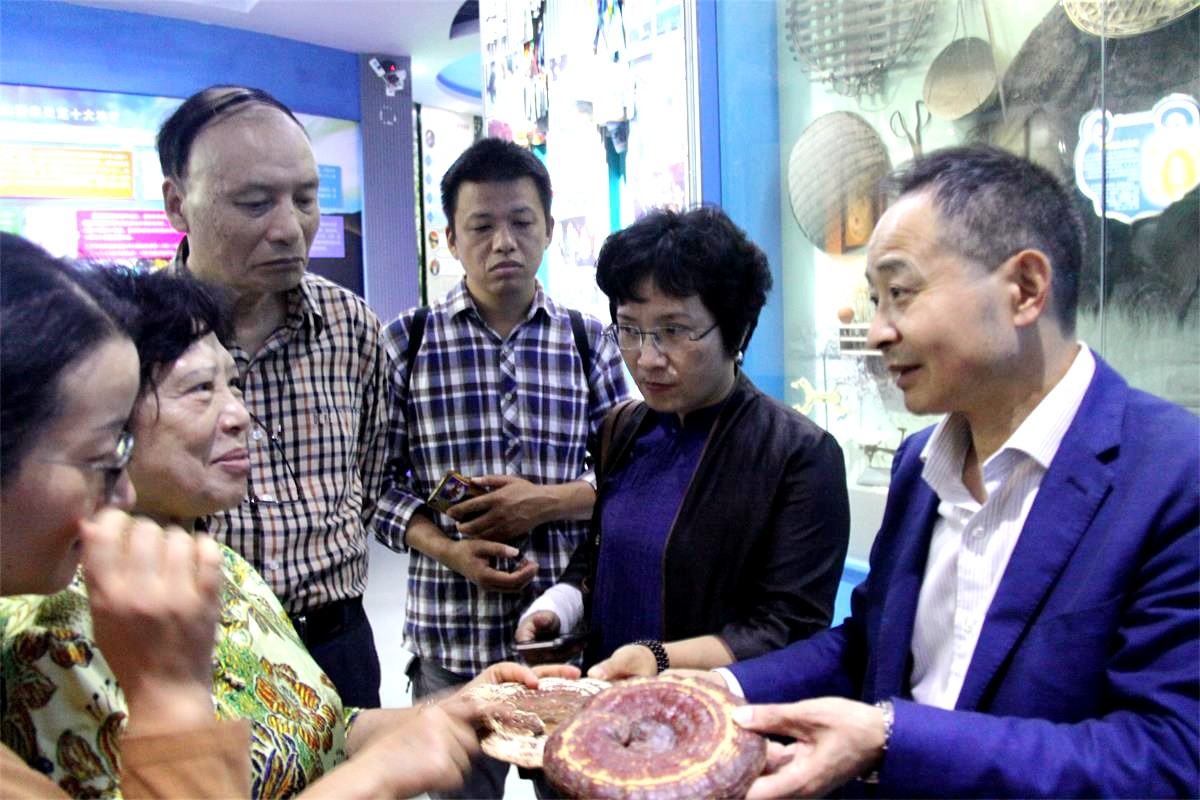 中國靈芝十大品牌|仙客來靈芝|仙客來靈芝破壁孢子粉|仙客來孢子油|仙客來靈芝飲片|仙客來破壁孢子粉|仙客來靈芝中藥飲片|馳名商標(biāo)|www.stfilm.cn| 中國靈芝十大品牌|仙客來靈芝|仙客來靈芝破壁孢子粉|仙客來孢子油|仙客來靈芝飲片|仙客來破壁孢子粉|仙客來靈芝中藥飲片|馳名商標(biāo)|www.stfilm.cn|