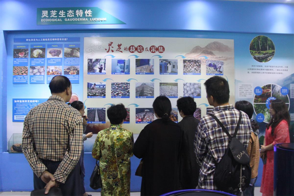 中國靈芝十大品牌|仙客來靈芝|仙客來靈芝破壁孢子粉|仙客來孢子油|仙客來靈芝飲片|仙客來破壁孢子粉|仙客來靈芝中藥飲片|馳名商標(biāo)|www.stfilm.cn| 中國靈芝十大品牌|仙客來靈芝|仙客來靈芝破壁孢子粉|仙客來孢子油|仙客來靈芝飲片|仙客來破壁孢子粉|仙客來靈芝中藥飲片|馳名商標(biāo)|www.stfilm.cn|