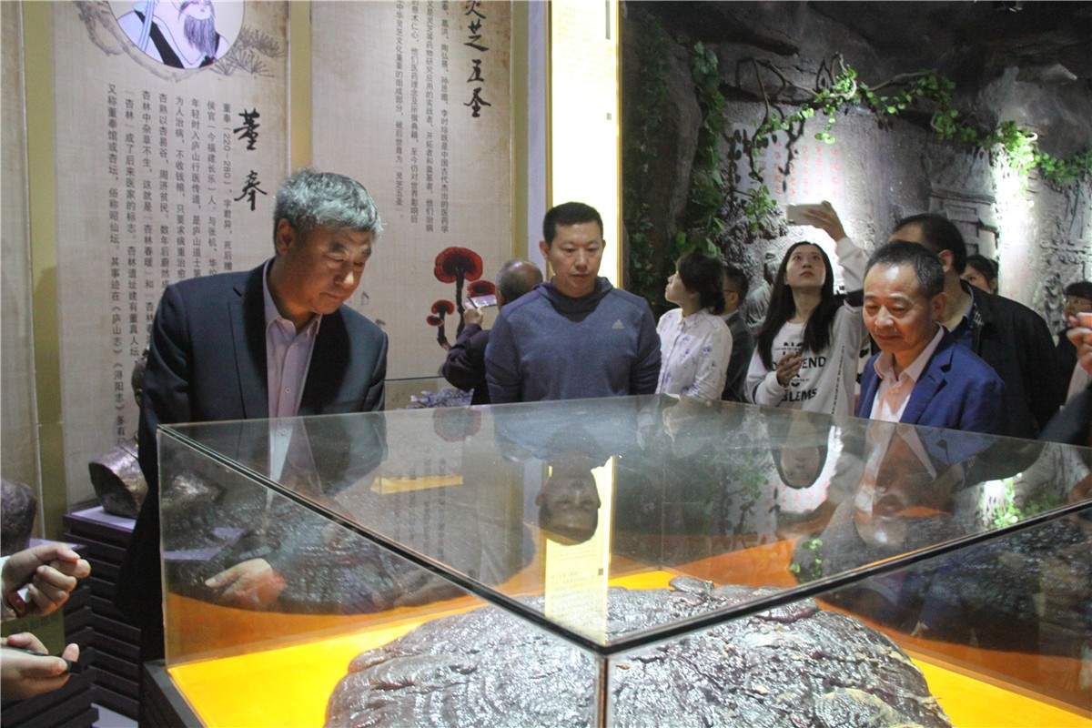 中國(guó)靈芝十大品牌|仙客來(lái)靈芝|仙客來(lái)靈芝破壁孢子粉|仙客來(lái)孢子油|仙客來(lái)靈芝飲片|仙客來(lái)破壁孢子粉|仙客來(lái)靈芝中藥飲片|馳名商標(biāo)|www.stfilm.cn| 中國(guó)靈芝十大品牌|仙客來(lái)靈芝|仙客來(lái)靈芝破壁孢子粉|仙客來(lái)孢子油|仙客來(lái)靈芝飲片|仙客來(lái)破壁孢子粉|仙客來(lái)靈芝中藥飲片|馳名商標(biāo)|www.stfilm.cn|