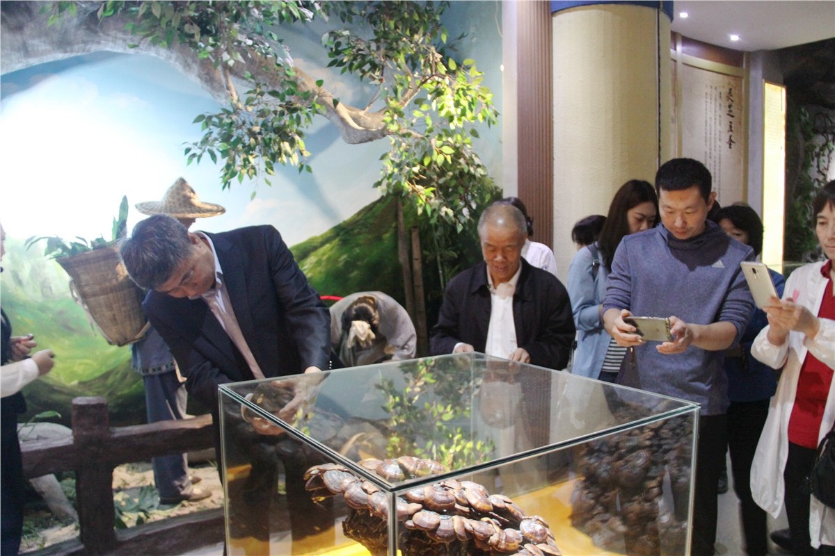 中國(guó)靈芝十大品牌|仙客來(lái)靈芝|仙客來(lái)靈芝破壁孢子粉|仙客來(lái)孢子油|仙客來(lái)靈芝飲片|仙客來(lái)破壁孢子粉|仙客來(lái)靈芝中藥飲片|馳名商標(biāo)|www.stfilm.cn| 中國(guó)靈芝十大品牌|仙客來(lái)靈芝|仙客來(lái)靈芝破壁孢子粉|仙客來(lái)孢子油|仙客來(lái)靈芝飲片|仙客來(lái)破壁孢子粉|仙客來(lái)靈芝中藥飲片|馳名商標(biāo)|www.stfilm.cn|