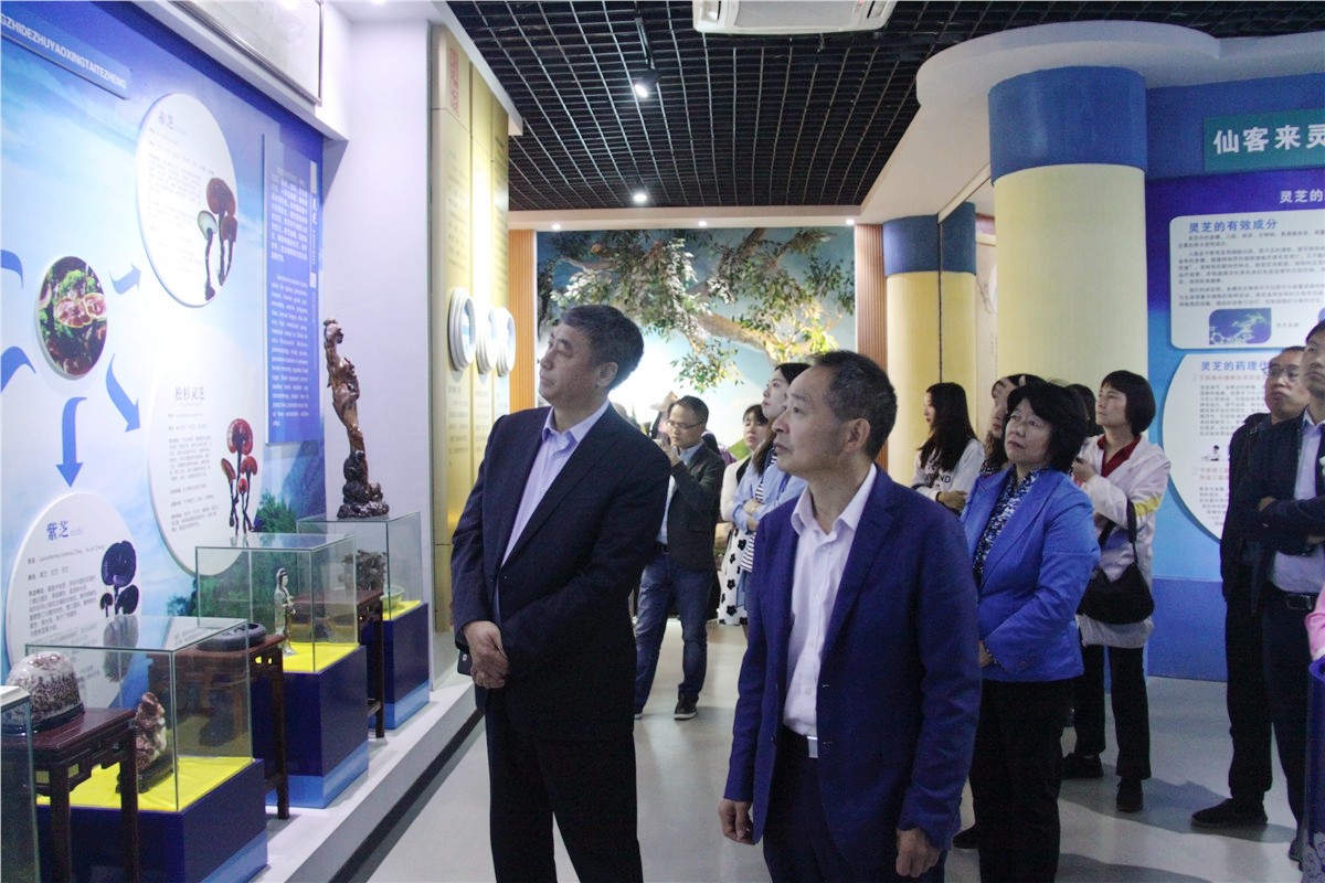 中國(guó)靈芝十大品牌|仙客來(lái)靈芝|仙客來(lái)靈芝破壁孢子粉|仙客來(lái)孢子油|仙客來(lái)靈芝飲片|仙客來(lái)破壁孢子粉|仙客來(lái)靈芝中藥飲片|馳名商標(biāo)|www.stfilm.cn| 中國(guó)靈芝十大品牌|仙客來(lái)靈芝|仙客來(lái)靈芝破壁孢子粉|仙客來(lái)孢子油|仙客來(lái)靈芝飲片|仙客來(lái)破壁孢子粉|仙客來(lái)靈芝中藥飲片|馳名商標(biāo)|www.stfilm.cn|