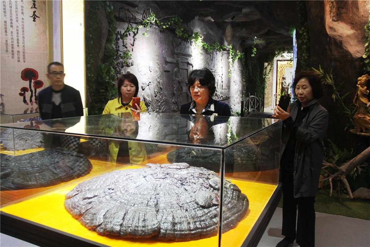 中國(guó)靈芝十大品牌|仙客來(lái)靈芝|仙客來(lái)靈芝破壁孢子粉|仙客來(lái)孢子油|仙客來(lái)靈芝飲片|仙客來(lái)破壁孢子粉|仙客來(lái)靈芝中藥飲片|馳名商標(biāo)|www.stfilm.cn| 中國(guó)靈芝十大品牌|仙客來(lái)靈芝|仙客來(lái)靈芝破壁孢子粉|仙客來(lái)孢子油|仙客來(lái)靈芝飲片|仙客來(lái)破壁孢子粉|仙客來(lái)靈芝中藥飲片|馳名商標(biāo)|www.stfilm.cn|