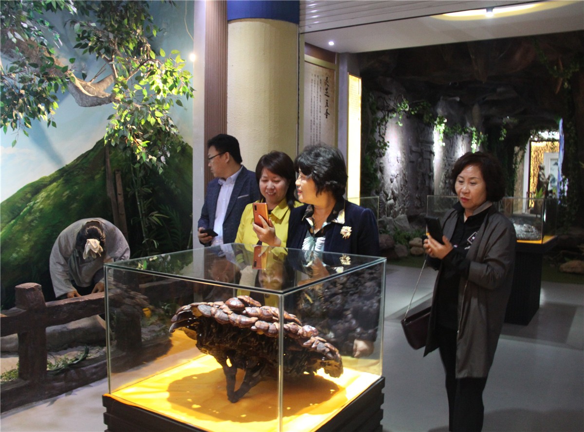 中國(guó)靈芝十大品牌|仙客來(lái)靈芝|仙客來(lái)靈芝破壁孢子粉|仙客來(lái)孢子油|仙客來(lái)靈芝飲片|仙客來(lái)破壁孢子粉|仙客來(lái)靈芝中藥飲片|馳名商標(biāo)|www.stfilm.cn| 中國(guó)靈芝十大品牌|仙客來(lái)靈芝|仙客來(lái)靈芝破壁孢子粉|仙客來(lái)孢子油|仙客來(lái)靈芝飲片|仙客來(lái)破壁孢子粉|仙客來(lái)靈芝中藥飲片|馳名商標(biāo)|www.stfilm.cn|