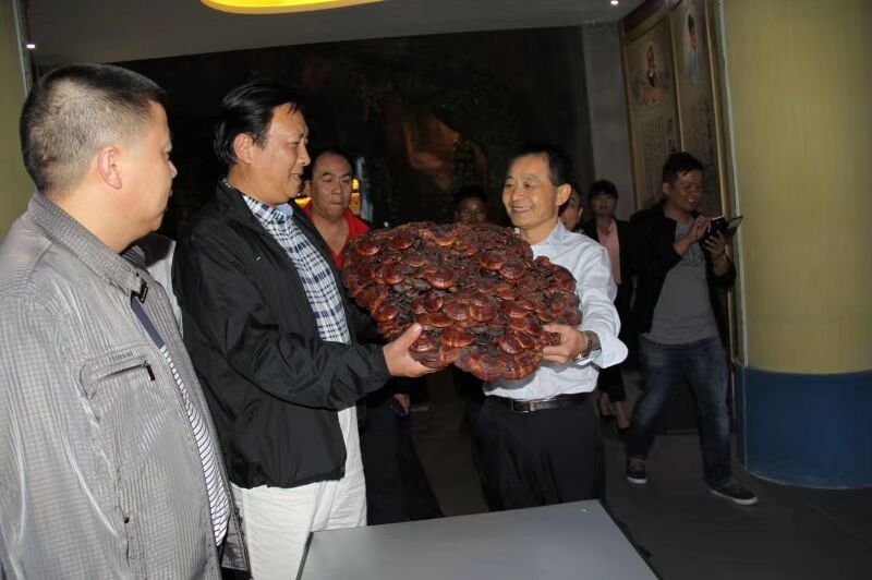 中國靈芝十大品牌|仙客來靈芝|仙客來靈芝破壁孢子粉|仙客來孢子油|仙客來靈芝飲片|仙客來破壁孢子粉|仙客來靈芝中藥飲片|馳名商標|www.stfilm.cn|