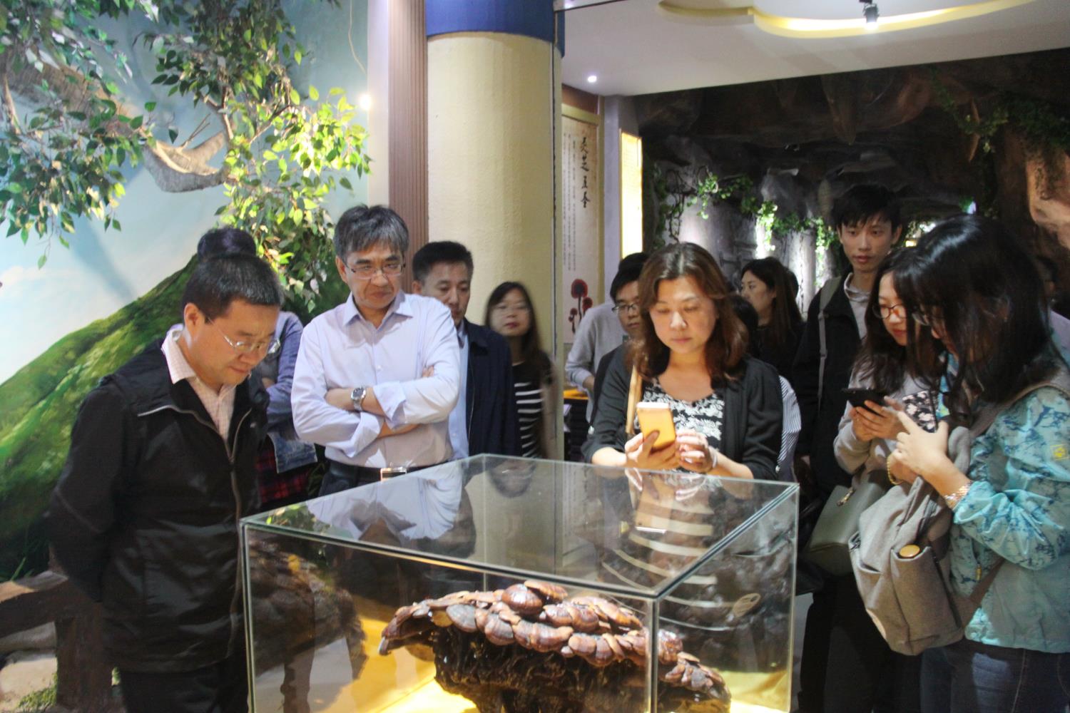 中國靈芝十大品牌|仙客來靈芝|仙客來靈芝破壁孢子粉|仙客來孢子油|仙客來靈芝飲片|仙客來破壁孢子粉|仙客來靈芝中藥飲片|馳名商標(biāo)|www.stfilm.cn| 中國靈芝十大品牌|仙客來靈芝|仙客來靈芝破壁孢子粉|仙客來孢子油|仙客來靈芝飲片|仙客來破壁孢子粉|仙客來靈芝中藥飲片|馳名商標(biāo)|www.stfilm.cn|