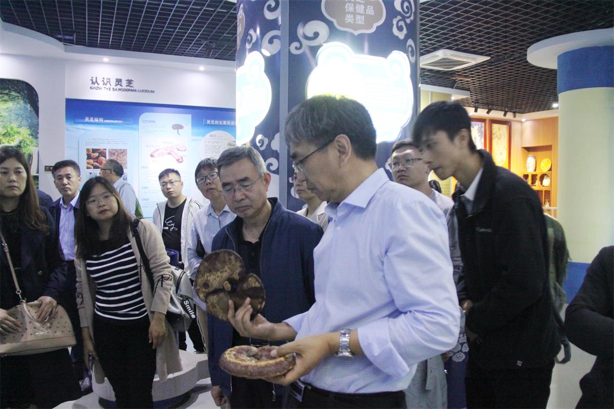 中國靈芝十大品牌|仙客來靈芝|仙客來靈芝破壁孢子粉|仙客來孢子油|仙客來靈芝飲片|仙客來破壁孢子粉|仙客來靈芝中藥飲片|馳名商標(biāo)|www.stfilm.cn| 中國靈芝十大品牌|仙客來靈芝|仙客來靈芝破壁孢子粉|仙客來孢子油|仙客來靈芝飲片|仙客來破壁孢子粉|仙客來靈芝中藥飲片|馳名商標(biāo)|www.stfilm.cn|