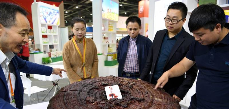 中國靈芝十大品牌|仙客來靈芝|仙客來靈芝破壁孢子粉|仙客來孢子油|仙客來靈芝飲片|仙客來破壁孢子粉|仙客來靈芝中藥飲片|馳名商標(biāo)|www.stfilm.cn| 中國靈芝十大品牌|仙客來靈芝|仙客來靈芝破壁孢子粉|仙客來孢子油|仙客來靈芝飲片|仙客來破壁孢子粉|仙客來靈芝中藥飲片|馳名商標(biāo)|www.stfilm.cn|