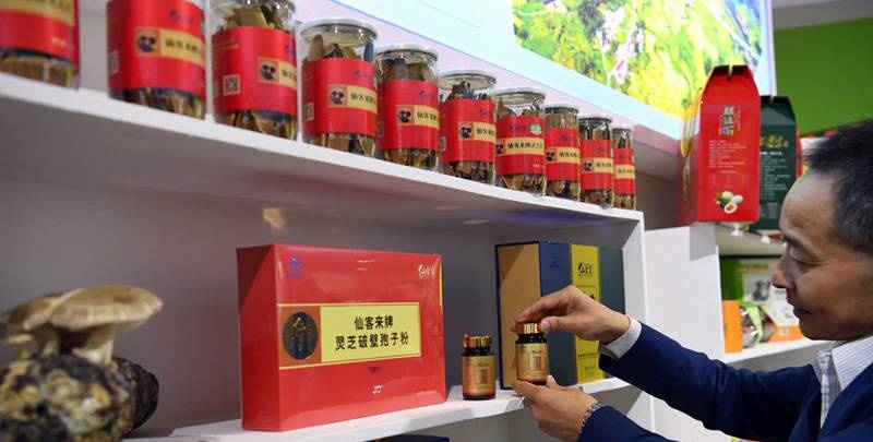 中國靈芝十大品牌|仙客來靈芝|仙客來靈芝破壁孢子粉|仙客來孢子油|仙客來靈芝飲片|仙客來破壁孢子粉|仙客來靈芝中藥飲片|馳名商標(biāo)|www.stfilm.cn| 中國靈芝十大品牌|仙客來靈芝|仙客來靈芝破壁孢子粉|仙客來孢子油|仙客來靈芝飲片|仙客來破壁孢子粉|仙客來靈芝中藥飲片|馳名商標(biāo)|www.stfilm.cn|