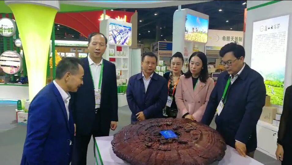 中國靈芝十大品牌|仙客來靈芝|仙客來靈芝破壁孢子粉|仙客來孢子油|仙客來靈芝飲片|仙客來破壁孢子粉|仙客來靈芝中藥飲片|馳名商標(biāo)|www.stfilm.cn| 中國靈芝十大品牌|仙客來靈芝|仙客來靈芝破壁孢子粉|仙客來孢子油|仙客來靈芝飲片|仙客來破壁孢子粉|仙客來靈芝中藥飲片|馳名商標(biāo)|www.stfilm.cn|