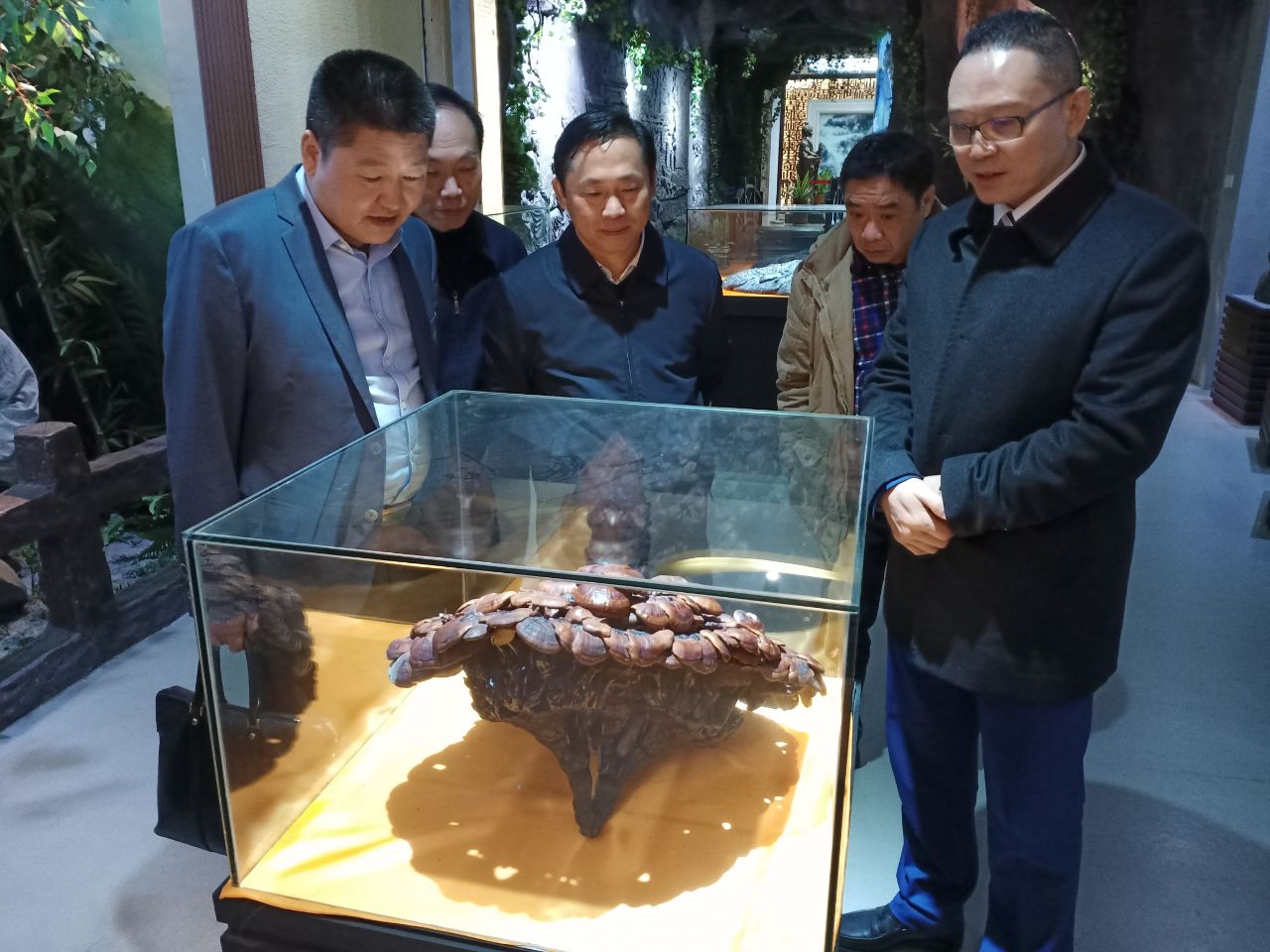 1575276338949411.jpg QzpcVXNlcnNcQVNVU1xBcHBEYXRhXFJvYW1pbmdcRGluZ1RhbGtcNjQ5NzkzNjIzX3YyXEltYWdlRmlsZXNcMTM0MTQwMDRcMjE1OTc3MzU4NV8xMDQwNTIyNDc5N19JTUcyMDE5MTEyODE3MjM1OF9bQkA1ZTQ3NDJmLmpwZw==.jpg