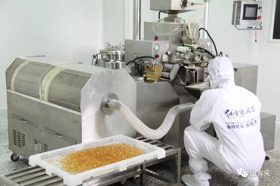 中國(guó)靈芝十大品牌|仙客來(lái)靈芝|仙客來(lái)靈芝破壁孢子粉|仙客來(lái)孢子油|仙客來(lái)靈芝飲片|仙客來(lái)破壁孢子粉|仙客來(lái)靈芝中藥飲片|馳名商標(biāo)|www.stfilm.cn|