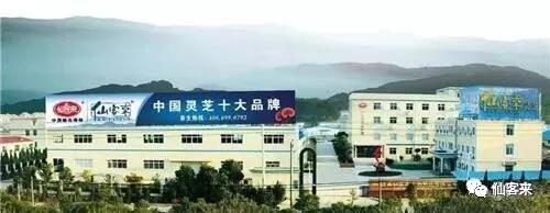 中國(guó)靈芝十大品牌|仙客來(lái)靈芝|仙客來(lái)靈芝破壁孢子粉|仙客來(lái)孢子油|仙客來(lái)靈芝飲片|仙客來(lái)破壁孢子粉|仙客來(lái)靈芝中藥飲片|馳名商標(biāo)|www.stfilm.cn|