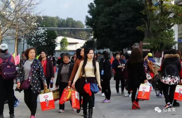 中國(guó)靈芝十大品牌|仙客來(lái)靈芝|仙客來(lái)靈芝破壁孢子粉|仙客來(lái)孢子油|仙客來(lái)靈芝飲片|仙客來(lái)破壁孢子粉|仙客來(lái)靈芝中藥飲片|馳名商標(biāo)|www.stfilm.cn|