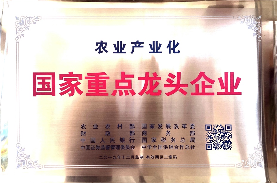 杭州亞運(yùn)會(huì)官方靈芝產(chǎn)品供應(yīng)商|杭州亞運(yùn)會(huì)官方供應(yīng)商|中國(guó)靈芝十大品牌|仙客來靈芝|仙客來靈芝破壁孢子粉|仙客來孢子油|仙客來靈芝飲片|仙客來破壁孢子粉|靈芝孢子油|孢子粉|靈芝破壁孢子粉|靈芝|中華老字號(hào)