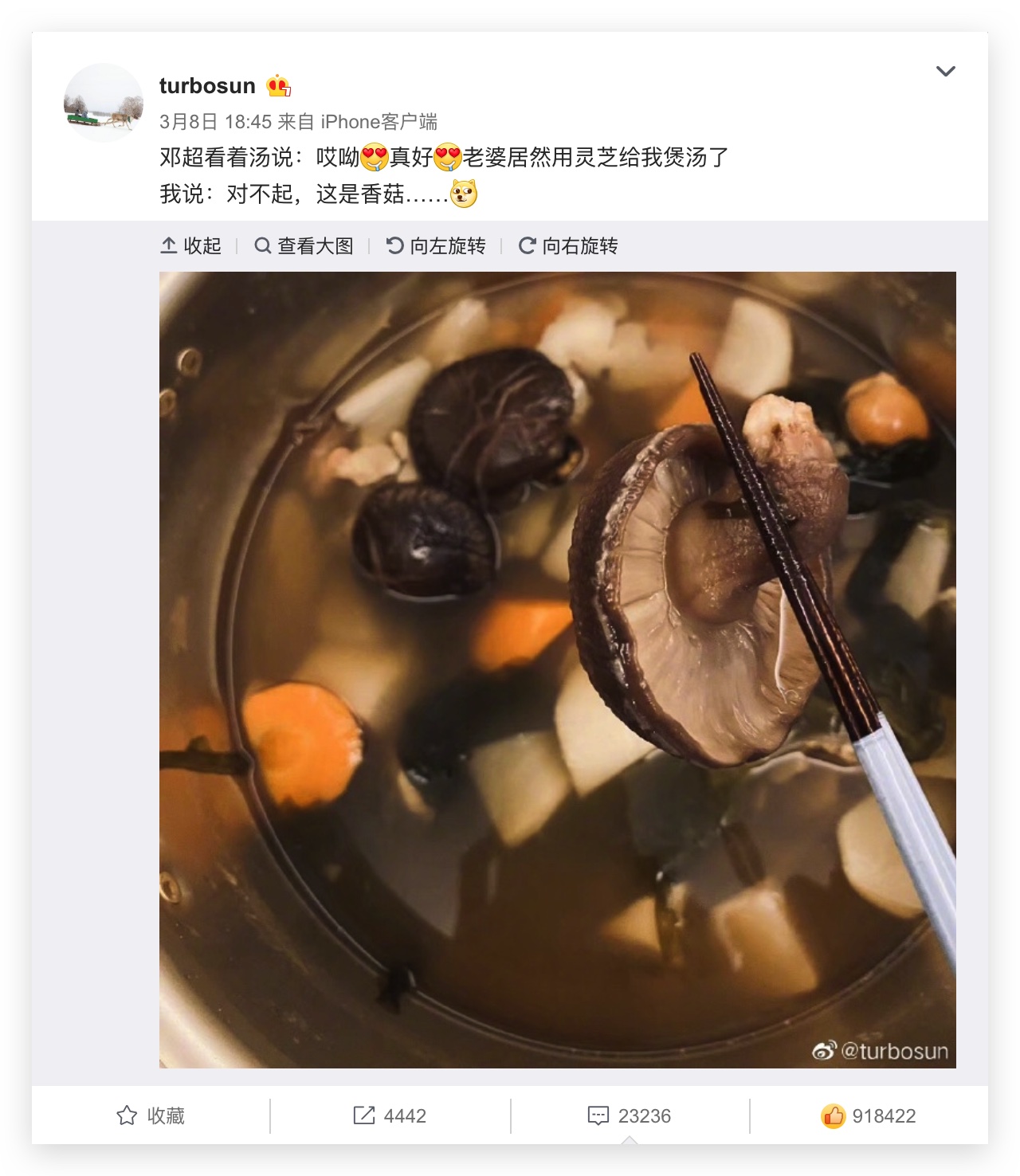 杭州亞運(yùn)會(huì)官方靈芝產(chǎn)品供應(yīng)商|杭州亞運(yùn)會(huì)官方供應(yīng)商|中國(guó)靈芝十大品牌|仙客來(lái)靈芝|仙客來(lái)靈芝破壁孢子粉|仙客來(lái)孢子油|仙客來(lái)靈芝飲片|仙客來(lái)破壁孢子粉|靈芝孢子油|孢子粉|靈芝破壁孢子粉|靈芝|中華老字號(hào)