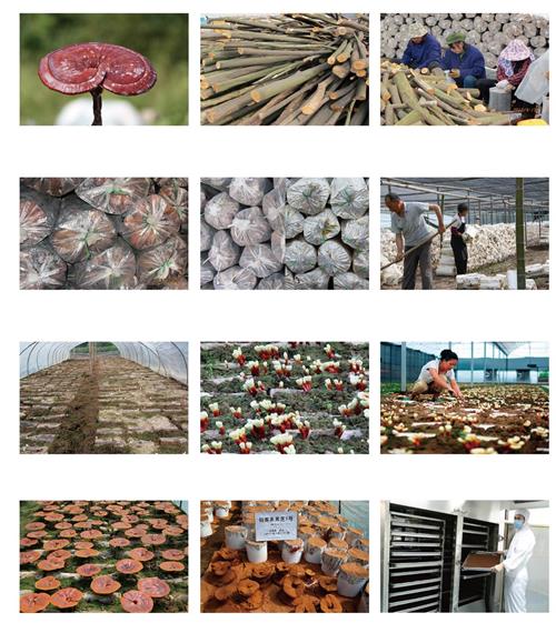 1590804912562067.jpg 2015140882_11284803215_未標題-2-01_看圖王.jpg