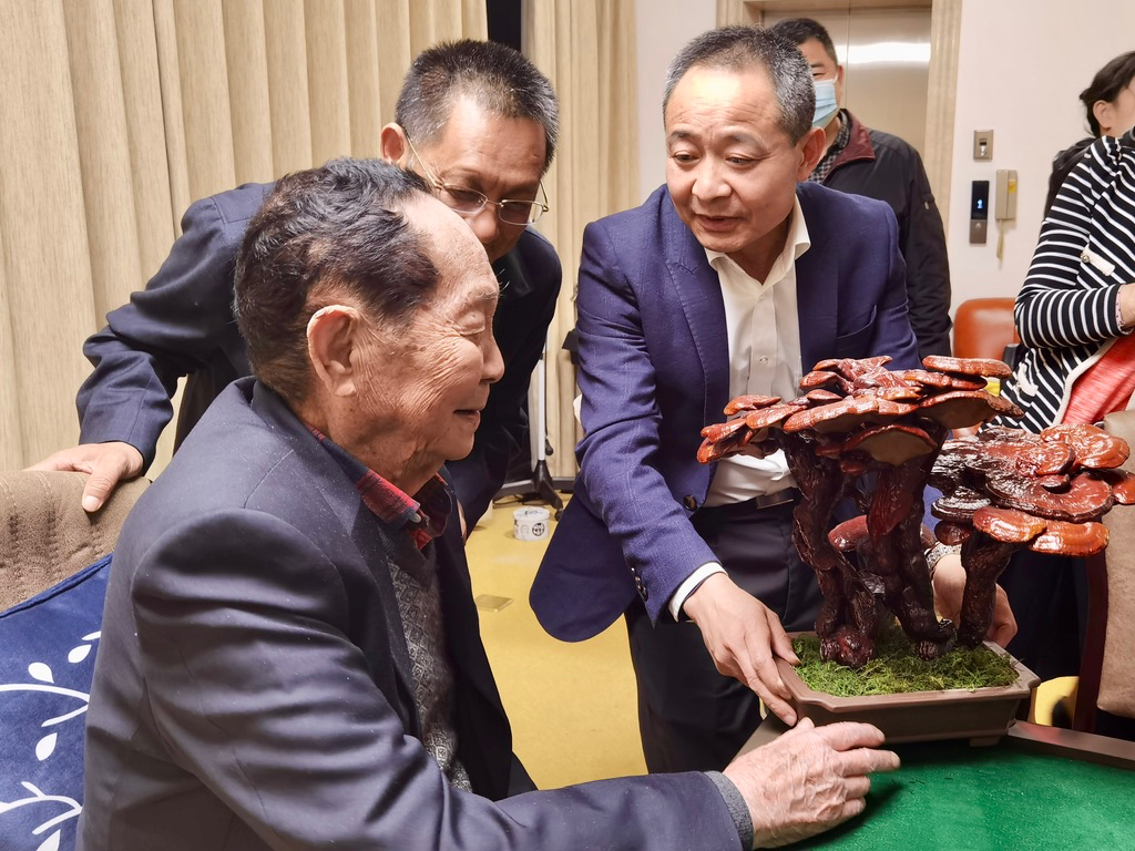 杭州亞運會官方靈芝產(chǎn)品供應(yīng)商|杭州亞運會官方供應(yīng)商|中國靈芝十大品牌|仙客來靈芝|仙客來靈芝破壁孢子粉|仙客來孢子油|仙客來靈芝飲片|仙客來破壁孢子粉|靈芝孢子油|孢子粉|靈芝破壁孢子粉|靈芝|中華老字號 杭州亞運會官方靈芝產(chǎn)品供應(yīng)商|杭州亞運會官方供應(yīng)商|中國靈芝十大品牌|仙客來靈芝|仙客來靈芝破壁孢子粉|仙客來孢子油|仙客來靈芝飲片|仙客來破壁孢子粉|靈芝孢子油|孢子粉|靈芝破壁孢子粉|靈芝|中華老字號