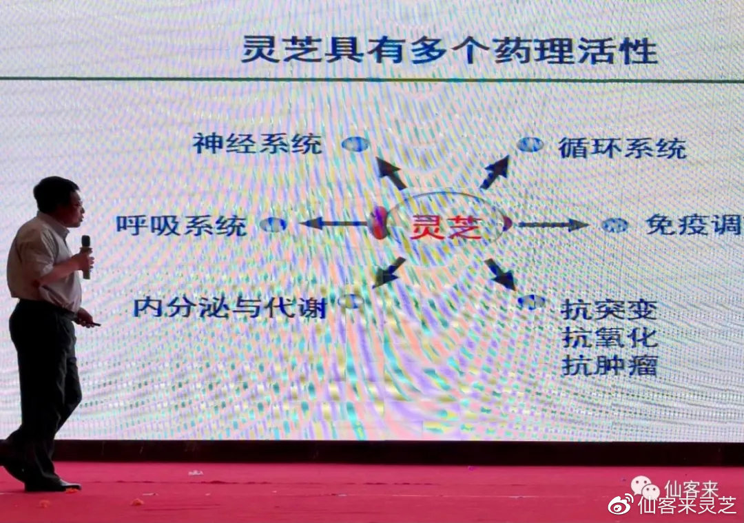 杭州亞運會官方靈芝產(chǎn)品供應(yīng)商|杭州亞運會官方供應(yīng)商|中國靈芝十大品牌|仙客來靈芝|仙客來靈芝破壁孢子粉|仙客來孢子油|仙客來靈芝飲片|仙客來破壁孢子粉|靈芝孢子油|孢子粉|靈芝破壁孢子粉|靈芝|中華老字號 杭州亞運會官方靈芝產(chǎn)品供應(yīng)商|杭州亞運會官方供應(yīng)商|中國靈芝十大品牌|仙客來靈芝|仙客來靈芝破壁孢子粉|仙客來孢子油|仙客來靈芝飲片|仙客來破壁孢子粉|靈芝孢子油|孢子粉|靈芝破壁孢子粉|靈芝|中華老字號