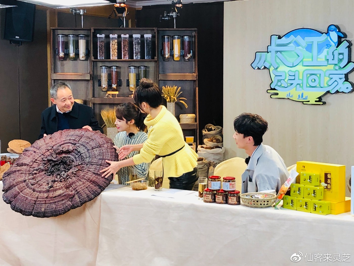 杭州亞運會官方靈芝產(chǎn)品供應(yīng)商|杭州亞運會官方供應(yīng)商|中國靈芝十大品牌|仙客來靈芝|仙客來靈芝破壁孢子粉|仙客來孢子油|仙客來靈芝飲片|仙客來破壁孢子粉|靈芝孢子油|孢子粉|靈芝破壁孢子粉|靈芝|中華老字號 杭州亞運會官方靈芝產(chǎn)品供應(yīng)商|杭州亞運會官方供應(yīng)商|中國靈芝十大品牌|仙客來靈芝|仙客來靈芝破壁孢子粉|仙客來孢子油|仙客來靈芝飲片|仙客來破壁孢子粉|靈芝孢子油|孢子粉|靈芝破壁孢子粉|靈芝|中華老字號