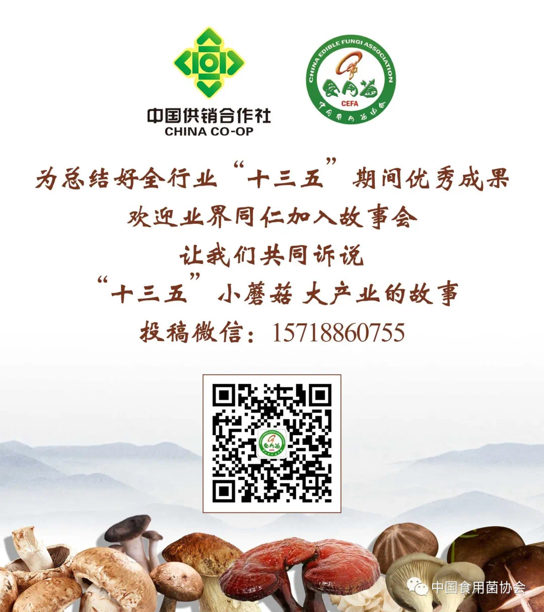 杭州亞運會官方靈芝產(chǎn)品供應(yīng)商|杭州亞運會官方供應(yīng)商|中國靈芝十大品牌|仙客來靈芝|仙客來靈芝破壁孢子粉|仙客來孢子油|仙客來靈芝飲片|仙客來破壁孢子粉|靈芝孢子油|孢子粉|靈芝破壁孢子粉|靈芝|中華老字號 杭州亞運會官方靈芝產(chǎn)品供應(yīng)商|杭州亞運會官方供應(yīng)商|中國靈芝十大品牌|仙客來靈芝|仙客來靈芝破壁孢子粉|仙客來孢子油|仙客來靈芝飲片|仙客來破壁孢子粉|靈芝孢子油|孢子粉|靈芝破壁孢子粉|靈芝|中華老字號