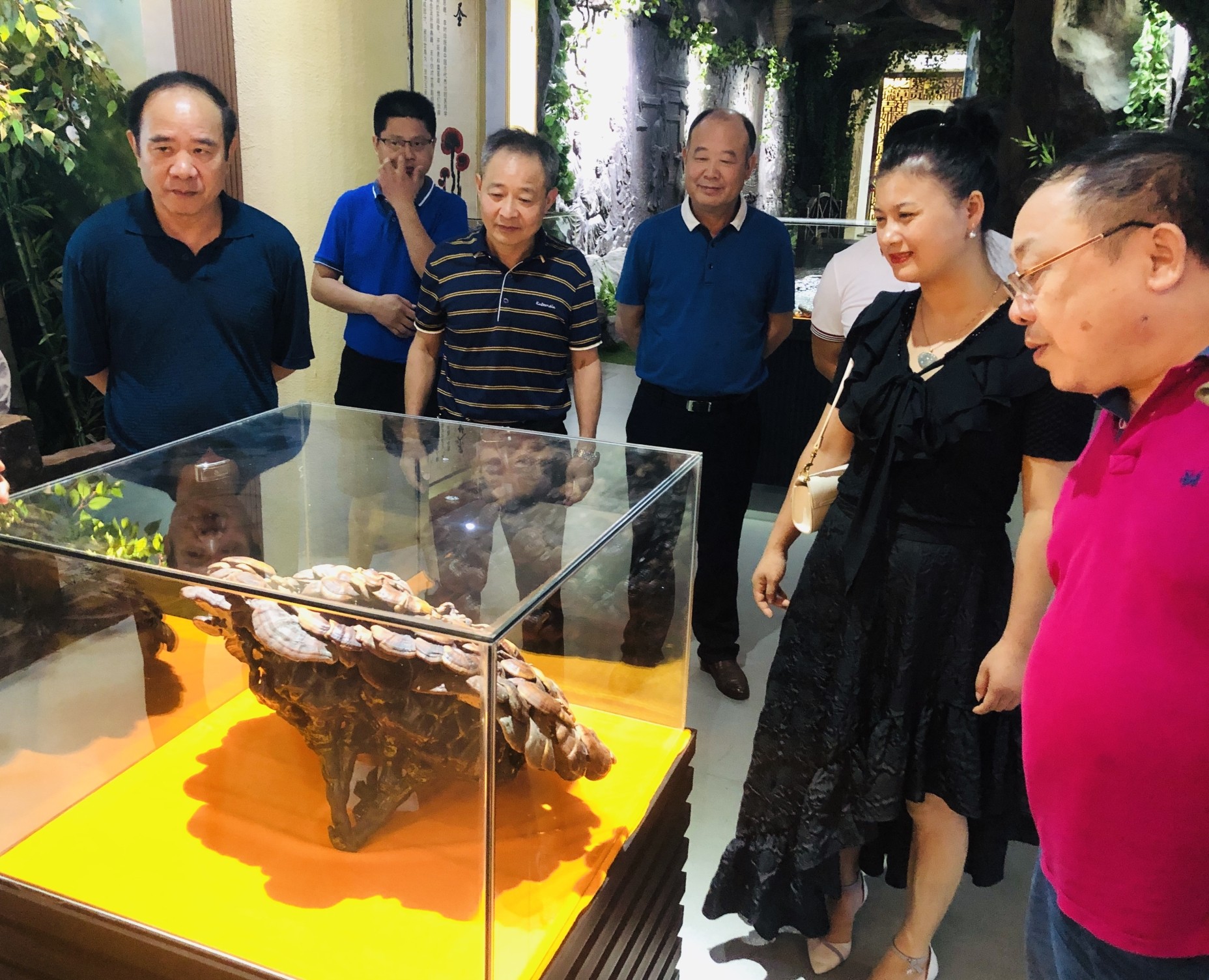 杭州亞運(yùn)會官方靈芝產(chǎn)品供應(yīng)商|杭州亞運(yùn)會官方供應(yīng)商|中國靈芝十大品牌|仙客來靈芝|仙客來靈芝破壁孢子粉|仙客來孢子油|仙客來靈芝飲片|仙客來破壁孢子粉|靈芝孢子油|孢子粉|靈芝破壁孢子粉|靈芝|中華老字號 杭州亞運(yùn)會官方靈芝產(chǎn)品供應(yīng)商|杭州亞運(yùn)會官方供應(yīng)商|中國靈芝十大品牌|仙客來靈芝|仙客來靈芝破壁孢子粉|仙客來孢子油|仙客來靈芝飲片|仙客來破壁孢子粉|靈芝孢子油|孢子粉|靈芝破壁孢子粉|靈芝|中華老字號