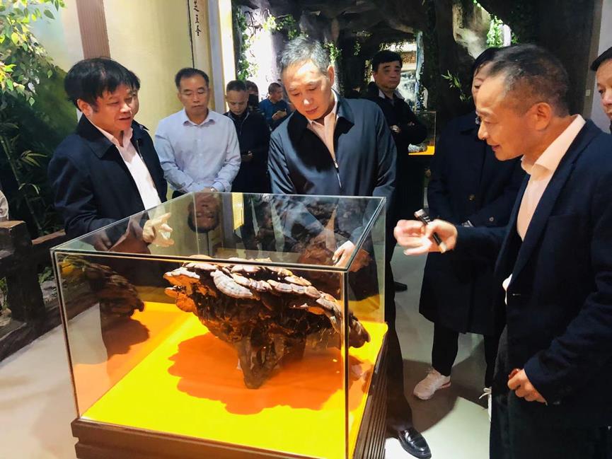 杭州亞運會官方靈芝產(chǎn)品供應商|杭州亞運會官方供應商|中國靈芝十大品牌|仙客來靈芝|仙客來靈芝破壁孢子粉|仙客來孢子油|仙客來靈芝飲片|仙客來破壁孢子粉|靈芝孢子油|孢子粉|靈芝破壁孢子粉|靈芝|中華老字號 杭州亞運會官方靈芝產(chǎn)品供應商|杭州亞運會官方供應商|中國靈芝十大品牌|仙客來靈芝|仙客來靈芝破壁孢子粉|仙客來孢子油|仙客來靈芝飲片|仙客來破壁孢子粉|靈芝孢子油|孢子粉|靈芝破壁孢子粉|靈芝|中華老字號