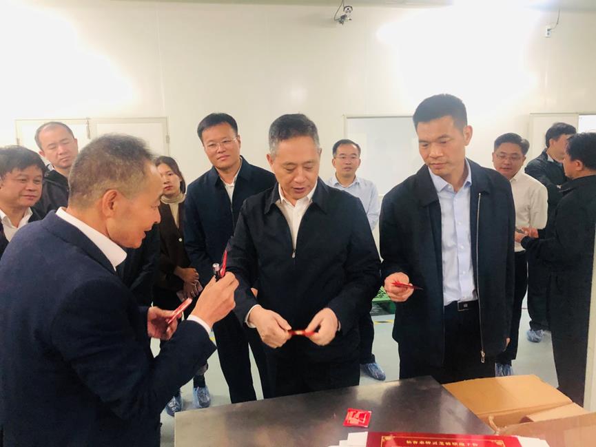 杭州亞運會官方靈芝產(chǎn)品供應商|杭州亞運會官方供應商|中國靈芝十大品牌|仙客來靈芝|仙客來靈芝破壁孢子粉|仙客來孢子油|仙客來靈芝飲片|仙客來破壁孢子粉|靈芝孢子油|孢子粉|靈芝破壁孢子粉|靈芝|中華老字號 杭州亞運會官方靈芝產(chǎn)品供應商|杭州亞運會官方供應商|中國靈芝十大品牌|仙客來靈芝|仙客來靈芝破壁孢子粉|仙客來孢子油|仙客來靈芝飲片|仙客來破壁孢子粉|靈芝孢子油|孢子粉|靈芝破壁孢子粉|靈芝|中華老字號