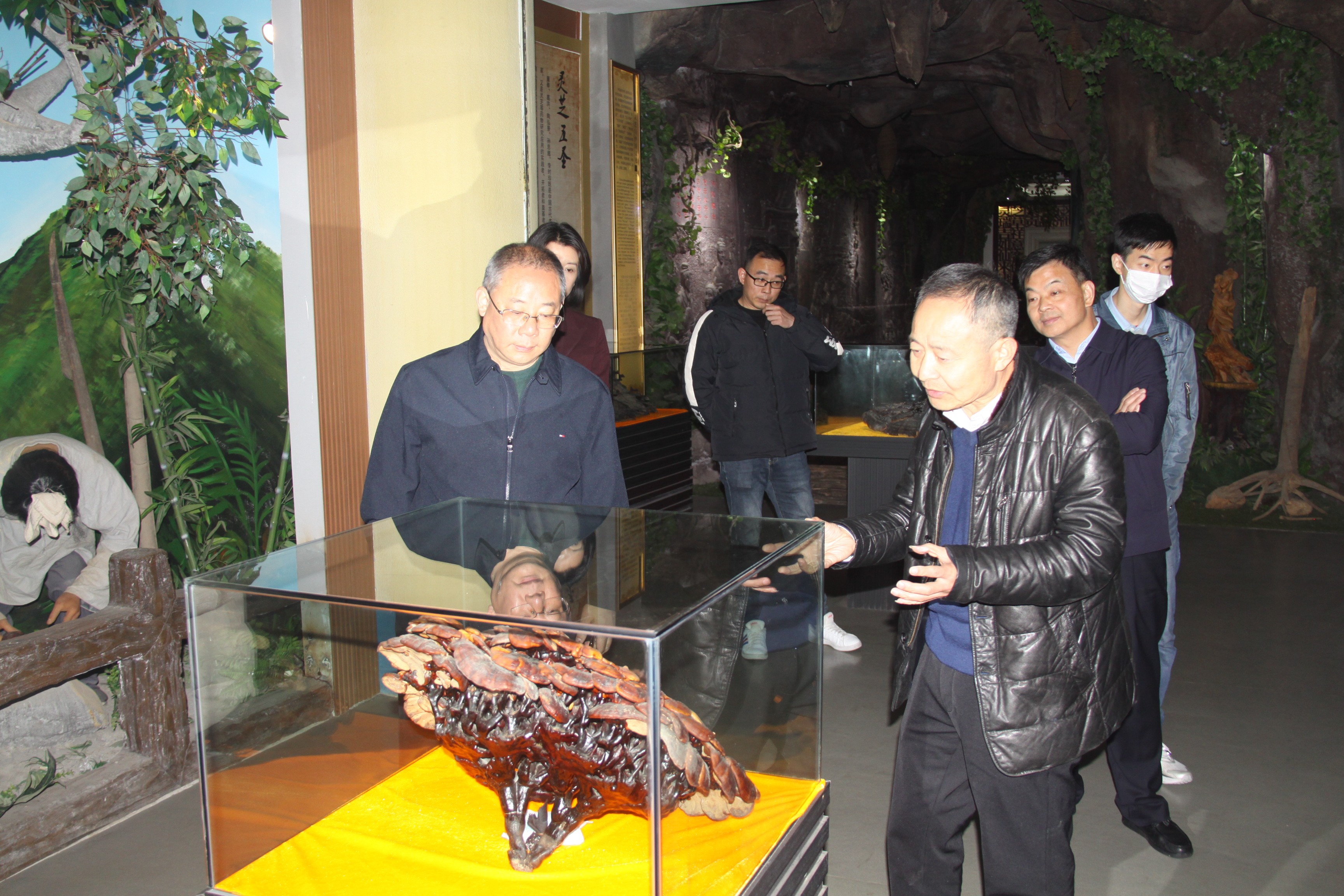 杭州亞運(yùn)會(huì)官方靈芝產(chǎn)品供應(yīng)商|杭州亞運(yùn)會(huì)官方供應(yīng)商|中國(guó)靈芝十大品牌|仙客來靈芝|仙客來靈芝破壁孢子粉|仙客來孢子油|仙客來靈芝飲片|仙客來破壁孢子粉|靈芝孢子油|孢子粉|靈芝破壁孢子粉|靈芝|中華老字號(hào) 杭州亞運(yùn)會(huì)官方靈芝產(chǎn)品供應(yīng)商|杭州亞運(yùn)會(huì)官方供應(yīng)商|中國(guó)靈芝十大品牌|仙客來靈芝|仙客來靈芝破壁孢子粉|仙客來孢子油|仙客來靈芝飲片|仙客來破壁孢子粉|靈芝孢子油|孢子粉|靈芝破壁孢子粉|靈芝|中華老字號(hào)