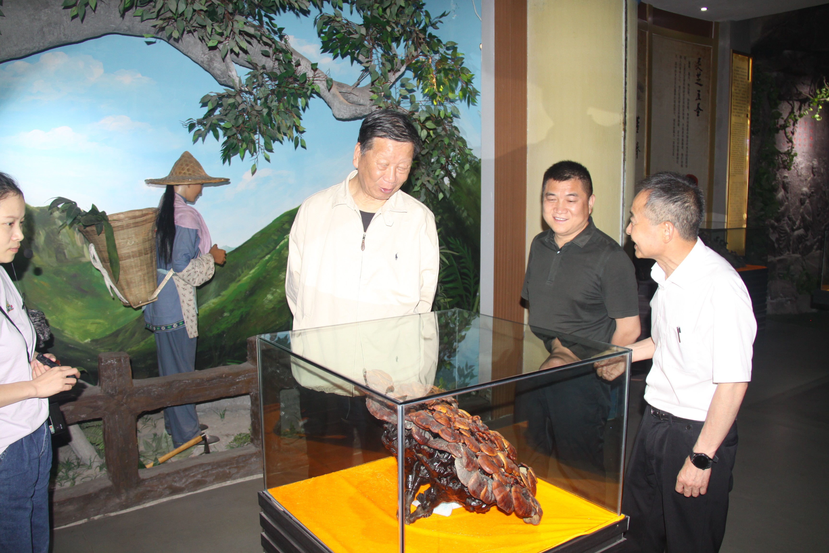 杭州亞運會官方靈芝產(chǎn)品供應(yīng)商|杭州亞運會官方供應(yīng)商|中國靈芝十大品牌|仙客來靈芝|仙客來靈芝破壁孢子粉|仙客來孢子油|仙客來靈芝飲片|仙客來破壁孢子粉|靈芝孢子油|孢子粉|靈芝破壁孢子粉|靈芝|中華老字號 杭州亞運會官方靈芝產(chǎn)品供應(yīng)商|杭州亞運會官方供應(yīng)商|中國靈芝十大品牌|仙客來靈芝|仙客來靈芝破壁孢子粉|仙客來孢子油|仙客來靈芝飲片|仙客來破壁孢子粉|靈芝孢子油|孢子粉|靈芝破壁孢子粉|靈芝|中華老字號