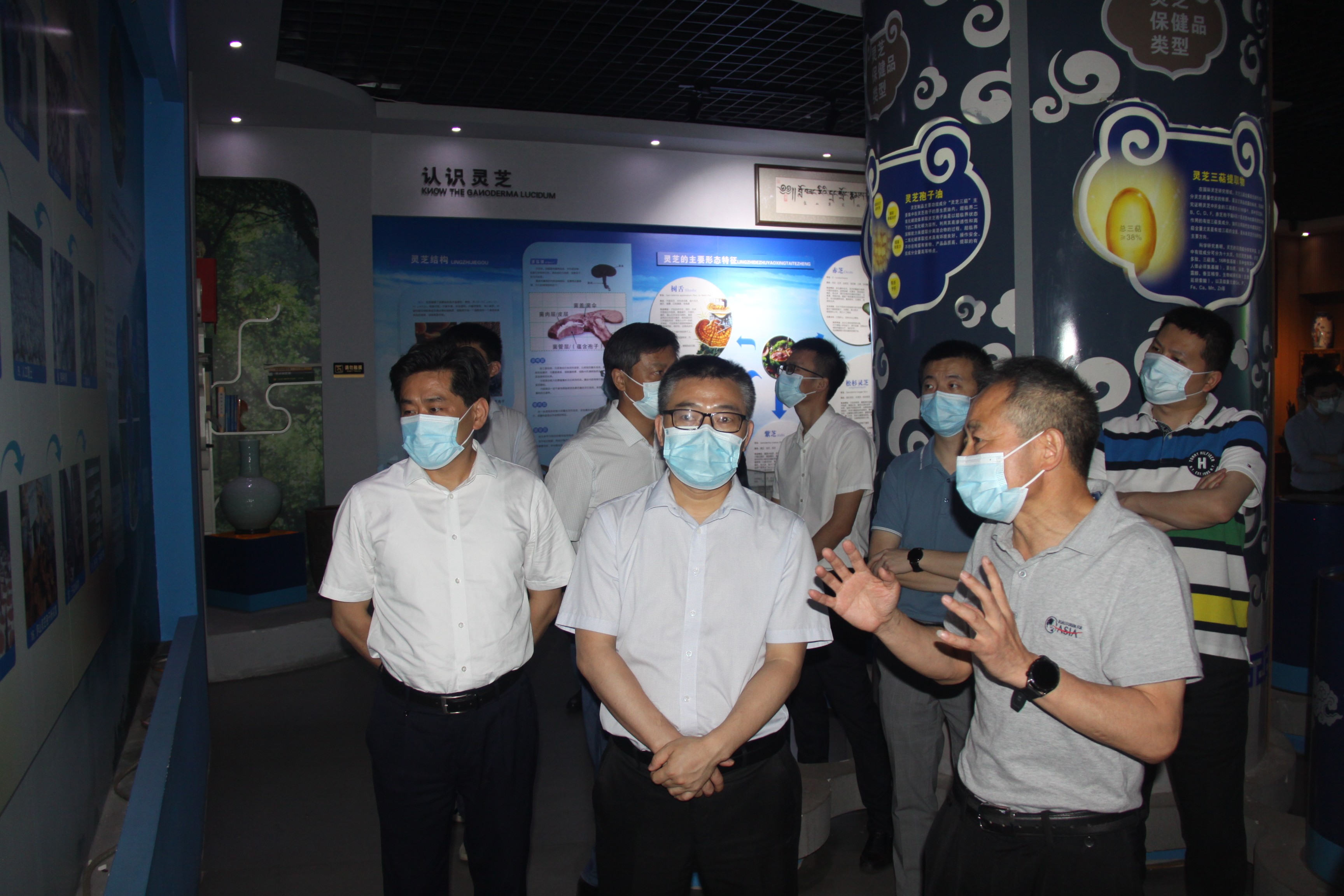 杭州亞運(yùn)會(huì)官方靈芝產(chǎn)品供應(yīng)商|杭州亞運(yùn)會(huì)官方供應(yīng)商|中國(guó)靈芝十大品牌|仙客來(lái)靈芝|仙客來(lái)靈芝破壁孢子粉|仙客來(lái)孢子油|仙客來(lái)靈芝飲片|仙客來(lái)破壁孢子粉|靈芝孢子油|孢子粉|靈芝破壁孢子粉|靈芝|中華老字號(hào) 杭州亞運(yùn)會(huì)官方靈芝產(chǎn)品供應(yīng)商|杭州亞運(yùn)會(huì)官方供應(yīng)商|中國(guó)靈芝十大品牌|仙客來(lái)靈芝|仙客來(lái)靈芝破壁孢子粉|仙客來(lái)孢子油|仙客來(lái)靈芝飲片|仙客來(lái)破壁孢子粉|靈芝孢子油|孢子粉|靈芝破壁孢子粉|靈芝|中華老字號(hào)