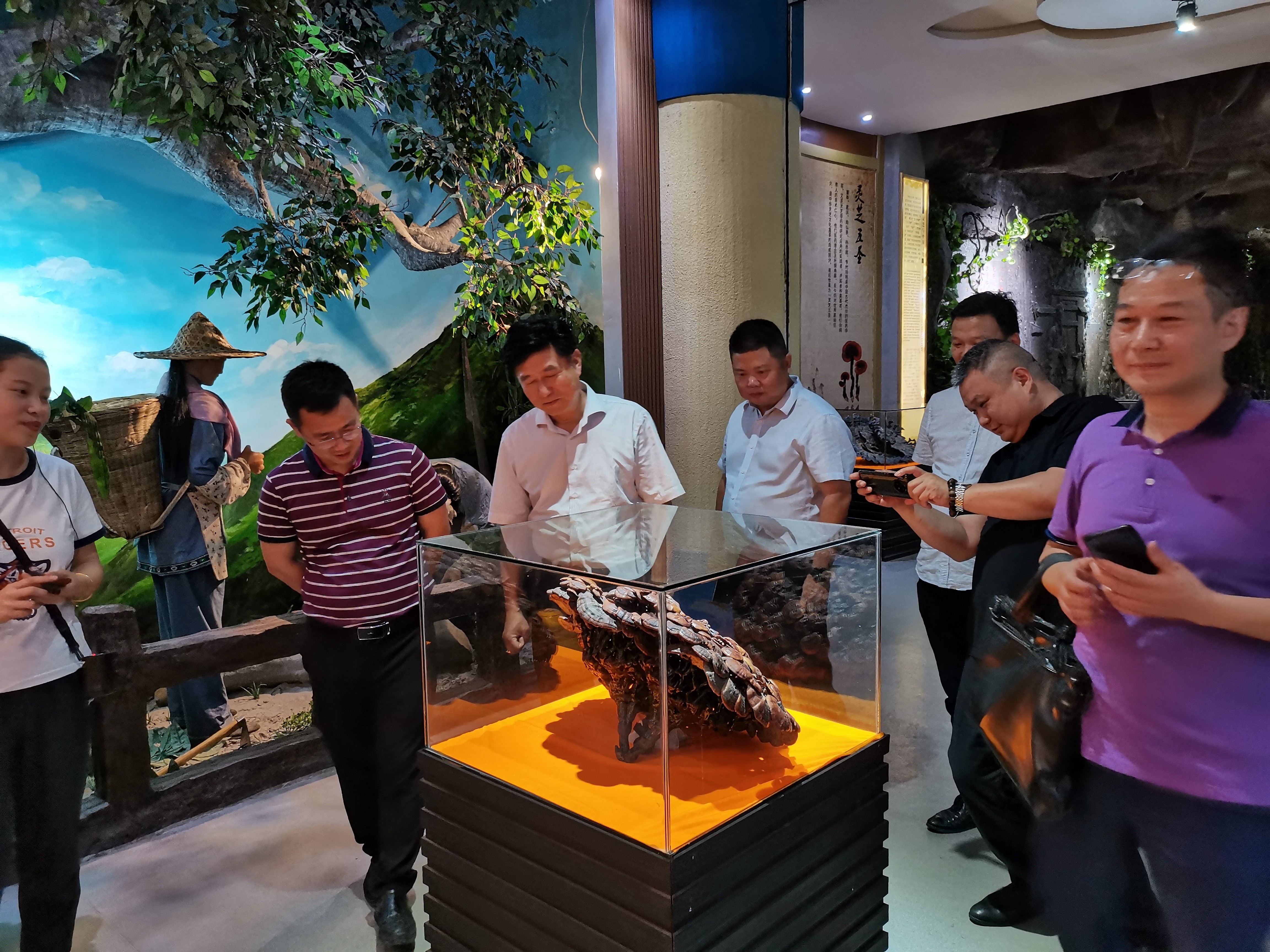 杭州亞運(yùn)會(huì)官方靈芝產(chǎn)品供應(yīng)商|杭州亞運(yùn)會(huì)官方供應(yīng)商|中國(guó)靈芝十大品牌|仙客來(lái)靈芝|仙客來(lái)靈芝破壁孢子粉|仙客來(lái)孢子油|仙客來(lái)靈芝飲片|仙客來(lái)破壁孢子粉|靈芝孢子油|孢子粉|靈芝破壁孢子粉|靈芝|中華老字號(hào) 杭州亞運(yùn)會(huì)官方靈芝產(chǎn)品供應(yīng)商|杭州亞運(yùn)會(huì)官方供應(yīng)商|中國(guó)靈芝十大品牌|仙客來(lái)靈芝|仙客來(lái)靈芝破壁孢子粉|仙客來(lái)孢子油|仙客來(lái)靈芝飲片|仙客來(lái)破壁孢子粉|靈芝孢子油|孢子粉|靈芝破壁孢子粉|靈芝|中華老字號(hào)