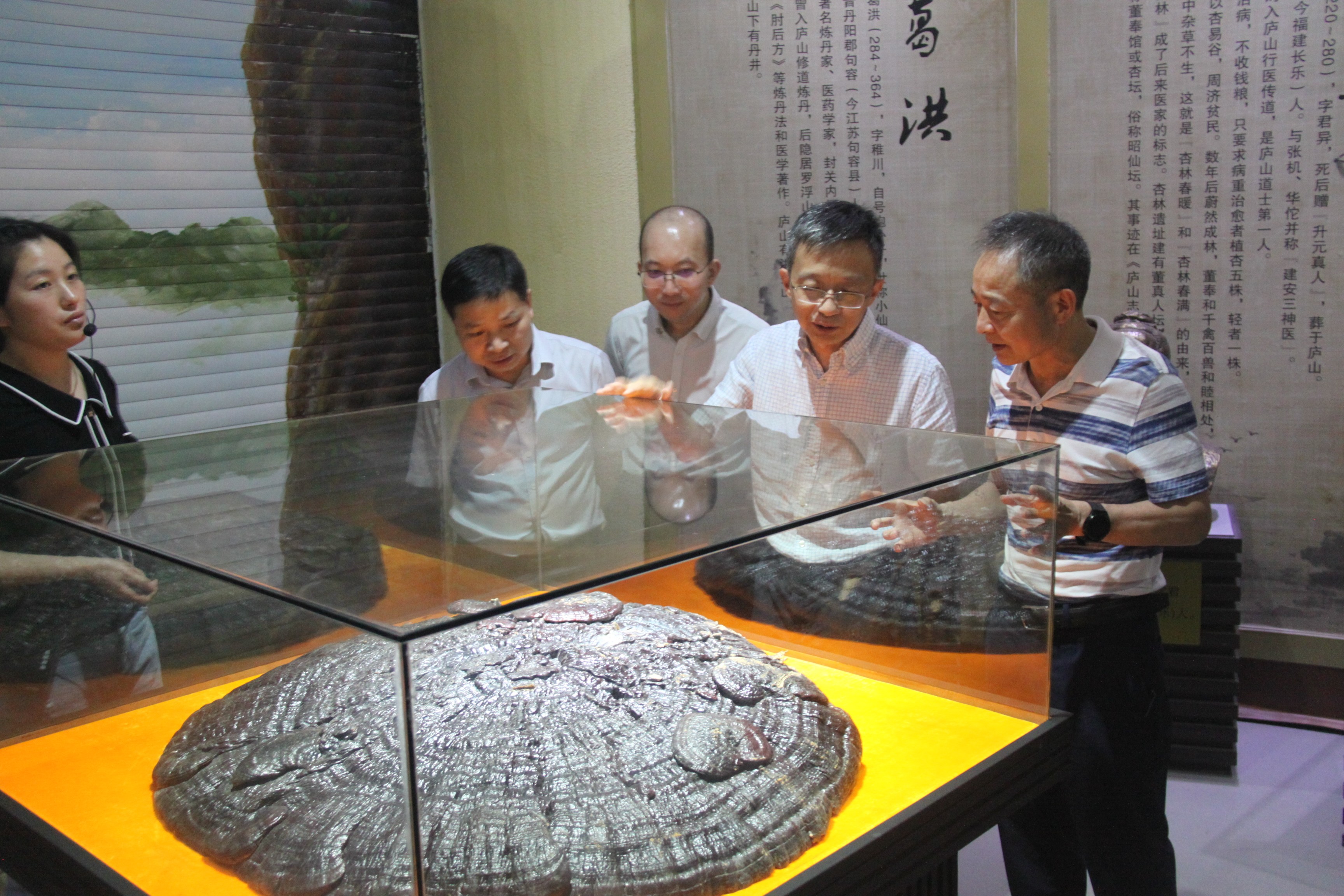 杭州亞運(yùn)會官方靈芝產(chǎn)品供應(yīng)商|杭州亞運(yùn)會官方供應(yīng)商|中國靈芝十大品牌|仙客來靈芝|仙客來靈芝破壁孢子粉|仙客來孢子油|仙客來靈芝飲片|仙客來破壁孢子粉|靈芝孢子油|孢子粉|靈芝破壁孢子粉|靈芝|中華老字號 杭州亞運(yùn)會官方靈芝產(chǎn)品供應(yīng)商|杭州亞運(yùn)會官方供應(yīng)商|中國靈芝十大品牌|仙客來靈芝|仙客來靈芝破壁孢子粉|仙客來孢子油|仙客來靈芝飲片|仙客來破壁孢子粉|靈芝孢子油|孢子粉|靈芝破壁孢子粉|靈芝|中華老字號