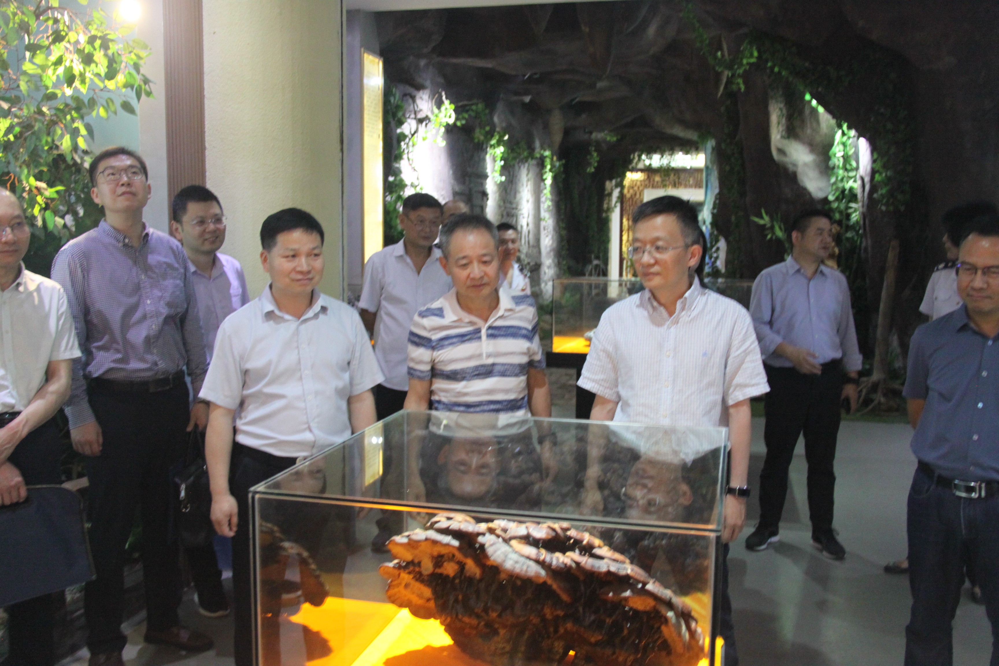 杭州亞運(yùn)會官方靈芝產(chǎn)品供應(yīng)商|杭州亞運(yùn)會官方供應(yīng)商|中國靈芝十大品牌|仙客來靈芝|仙客來靈芝破壁孢子粉|仙客來孢子油|仙客來靈芝飲片|仙客來破壁孢子粉|靈芝孢子油|孢子粉|靈芝破壁孢子粉|靈芝|中華老字號 杭州亞運(yùn)會官方靈芝產(chǎn)品供應(yīng)商|杭州亞運(yùn)會官方供應(yīng)商|中國靈芝十大品牌|仙客來靈芝|仙客來靈芝破壁孢子粉|仙客來孢子油|仙客來靈芝飲片|仙客來破壁孢子粉|靈芝孢子油|孢子粉|靈芝破壁孢子粉|靈芝|中華老字號