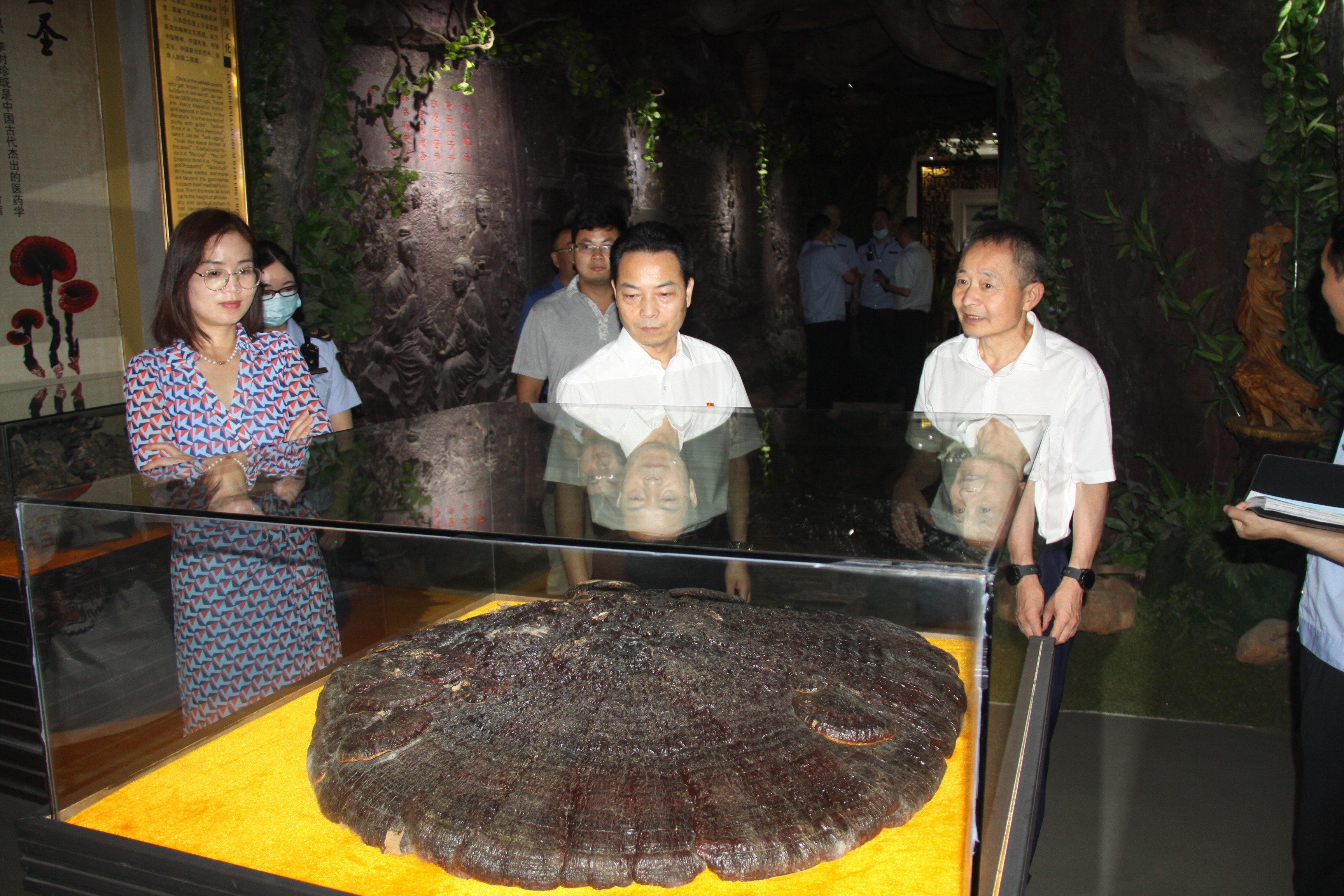 杭州亞運(yùn)會(huì)官方靈芝產(chǎn)品供應(yīng)商|杭州亞運(yùn)會(huì)官方供應(yīng)商|中國(guó)靈芝十大品牌|仙客來(lái)靈芝|仙客來(lái)靈芝破壁孢子粉|仙客來(lái)孢子油|仙客來(lái)靈芝飲片|仙客來(lái)破壁孢子粉|靈芝孢子油|孢子粉|靈芝破壁孢子粉|靈芝|中華老字號(hào) 杭州亞運(yùn)會(huì)官方靈芝產(chǎn)品供應(yīng)商|杭州亞運(yùn)會(huì)官方供應(yīng)商|中國(guó)靈芝十大品牌|仙客來(lái)靈芝|仙客來(lái)靈芝破壁孢子粉|仙客來(lái)孢子油|仙客來(lái)靈芝飲片|仙客來(lái)破壁孢子粉|靈芝孢子油|孢子粉|靈芝破壁孢子粉|靈芝|中華老字號(hào)