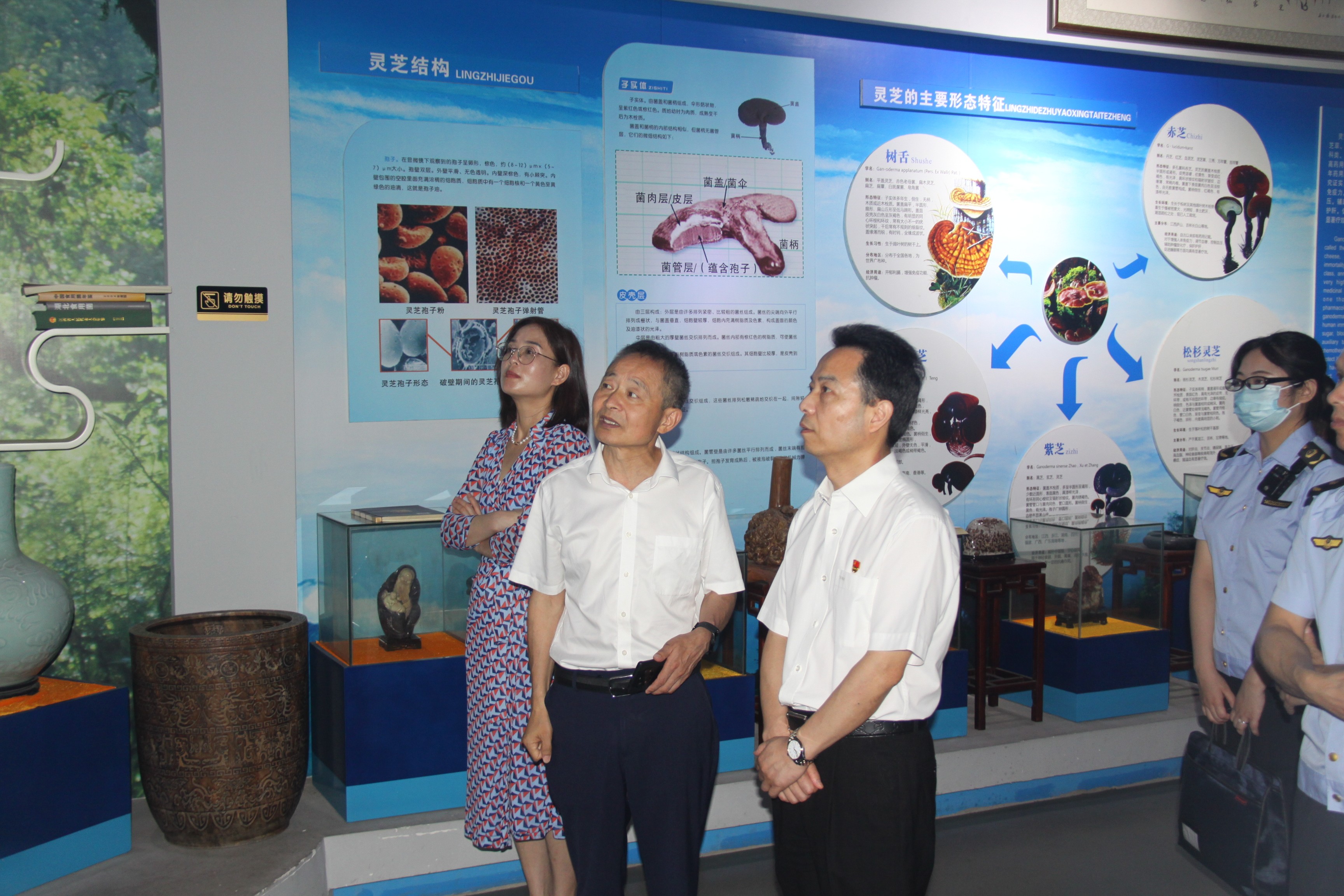 杭州亞運(yùn)會(huì)官方靈芝產(chǎn)品供應(yīng)商|杭州亞運(yùn)會(huì)官方供應(yīng)商|中國(guó)靈芝十大品牌|仙客來(lái)靈芝|仙客來(lái)靈芝破壁孢子粉|仙客來(lái)孢子油|仙客來(lái)靈芝飲片|仙客來(lái)破壁孢子粉|靈芝孢子油|孢子粉|靈芝破壁孢子粉|靈芝|中華老字號(hào) 杭州亞運(yùn)會(huì)官方靈芝產(chǎn)品供應(yīng)商|杭州亞運(yùn)會(huì)官方供應(yīng)商|中國(guó)靈芝十大品牌|仙客來(lái)靈芝|仙客來(lái)靈芝破壁孢子粉|仙客來(lái)孢子油|仙客來(lái)靈芝飲片|仙客來(lái)破壁孢子粉|靈芝孢子油|孢子粉|靈芝破壁孢子粉|靈芝|中華老字號(hào)