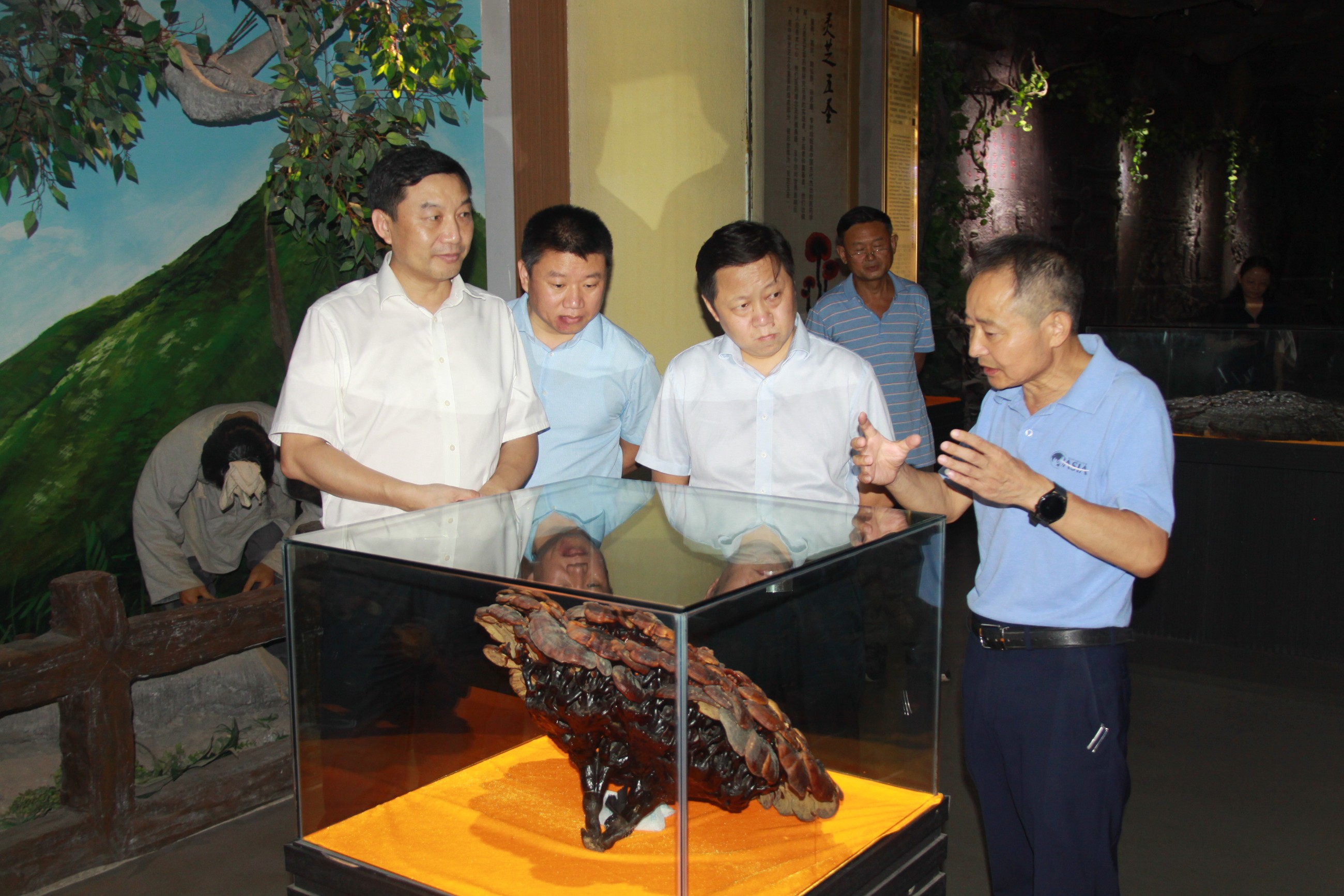 杭州亞運(yùn)會(huì)官方靈芝產(chǎn)品供應(yīng)商|杭州亞運(yùn)會(huì)官方供應(yīng)商|中國(guó)靈芝十大品牌|仙客來靈芝|仙客來靈芝破壁孢子粉|仙客來孢子油|仙客來靈芝飲片|仙客來破壁孢子粉|靈芝孢子油|孢子粉|靈芝破壁孢子粉|靈芝|中華老字號(hào) 杭州亞運(yùn)會(huì)官方靈芝產(chǎn)品供應(yīng)商|杭州亞運(yùn)會(huì)官方供應(yīng)商|中國(guó)靈芝十大品牌|仙客來靈芝|仙客來靈芝破壁孢子粉|仙客來孢子油|仙客來靈芝飲片|仙客來破壁孢子粉|靈芝孢子油|孢子粉|靈芝破壁孢子粉|靈芝|中華老字號(hào)