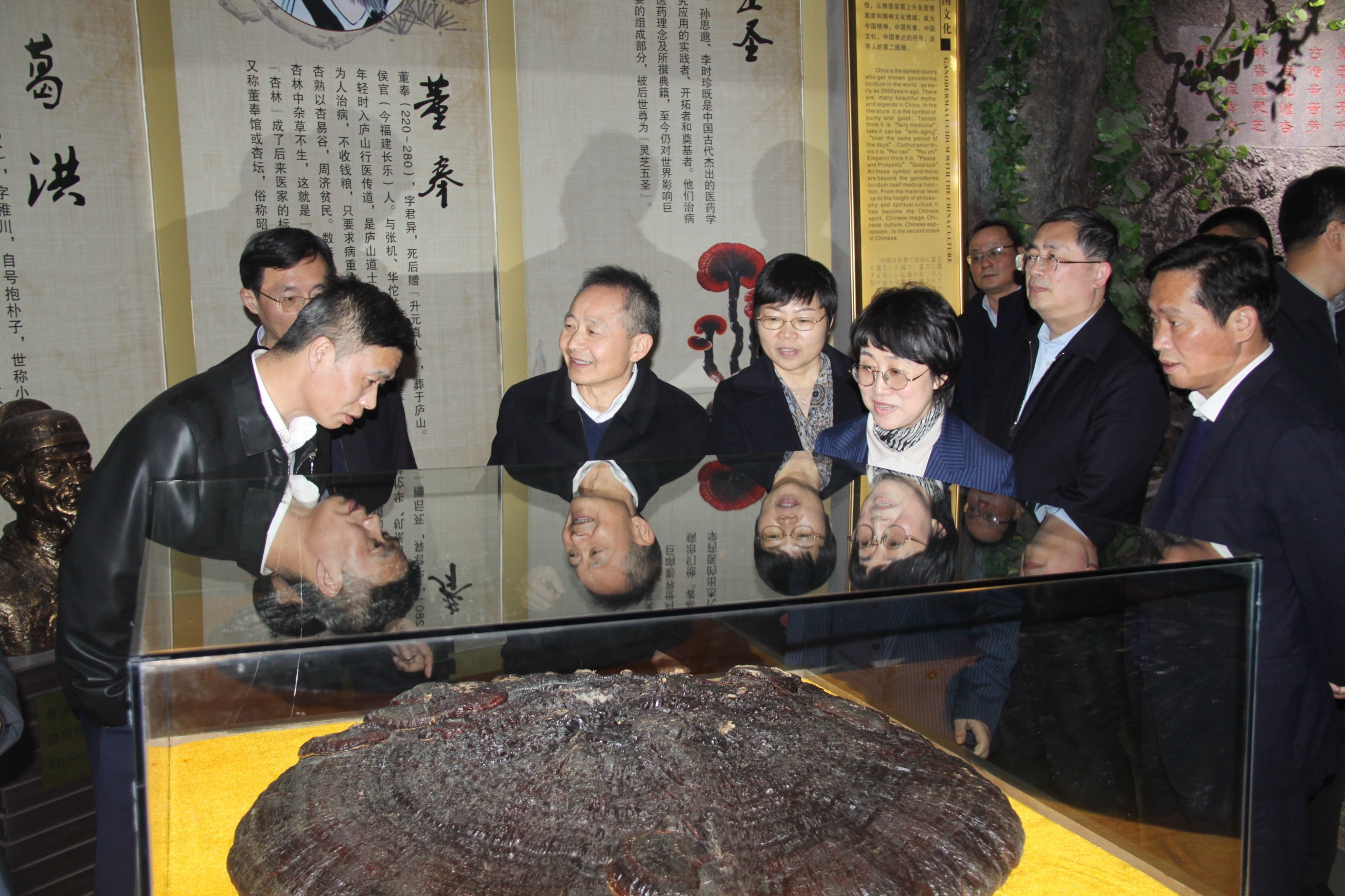 杭州亞運(yùn)會(huì)官方靈芝產(chǎn)品供應(yīng)商|杭州亞運(yùn)會(huì)官方供應(yīng)商|中國(guó)靈芝十大品牌|仙客來(lái)靈芝|仙客來(lái)靈芝破壁孢子粉|仙客來(lái)孢子油|仙客來(lái)靈芝飲片|仙客來(lái)破壁孢子粉|靈芝孢子油|孢子粉|靈芝破壁孢子粉|靈芝|中華老字號(hào) 杭州亞運(yùn)會(huì)官方靈芝產(chǎn)品供應(yīng)商|杭州亞運(yùn)會(huì)官方供應(yīng)商|中國(guó)靈芝十大品牌|仙客來(lái)靈芝|仙客來(lái)靈芝破壁孢子粉|仙客來(lái)孢子油|仙客來(lái)靈芝飲片|仙客來(lái)破壁孢子粉|靈芝孢子油|孢子粉|靈芝破壁孢子粉|靈芝|中華老字號(hào)