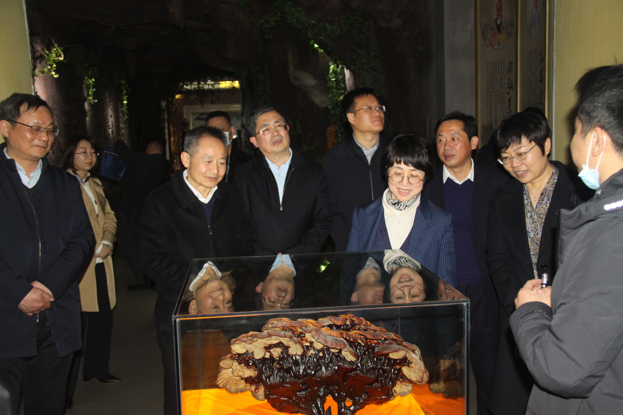 杭州亞運(yùn)會(huì)官方靈芝產(chǎn)品供應(yīng)商|杭州亞運(yùn)會(huì)官方供應(yīng)商|中國(guó)靈芝十大品牌|仙客來(lái)靈芝|仙客來(lái)靈芝破壁孢子粉|仙客來(lái)孢子油|仙客來(lái)靈芝飲片|仙客來(lái)破壁孢子粉|靈芝孢子油|孢子粉|靈芝破壁孢子粉|靈芝|中華老字號(hào) 杭州亞運(yùn)會(huì)官方靈芝產(chǎn)品供應(yīng)商|杭州亞運(yùn)會(huì)官方供應(yīng)商|中國(guó)靈芝十大品牌|仙客來(lái)靈芝|仙客來(lái)靈芝破壁孢子粉|仙客來(lái)孢子油|仙客來(lái)靈芝飲片|仙客來(lái)破壁孢子粉|靈芝孢子油|孢子粉|靈芝破壁孢子粉|靈芝|中華老字號(hào)