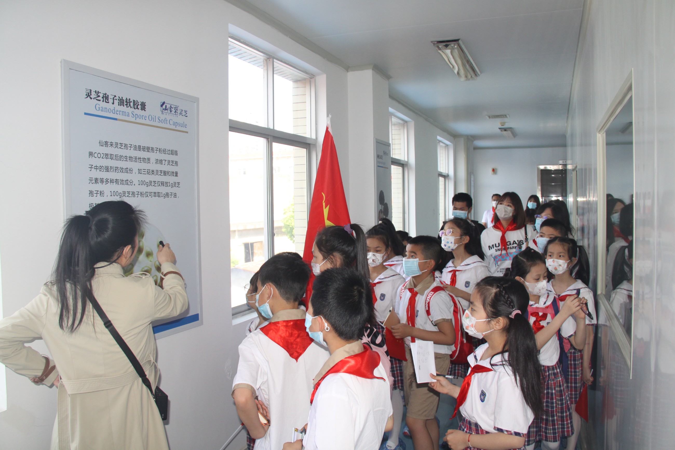 杭州亞運(yùn)會(huì)官方靈芝產(chǎn)品供應(yīng)商|杭州亞運(yùn)會(huì)官方供應(yīng)商|中國(guó)靈芝十大品牌|仙客來靈芝|仙客來靈芝破壁孢子粉|仙客來孢子油|仙客來靈芝飲片|仙客來破壁孢子粉|靈芝孢子油|孢子粉|靈芝破壁孢子粉|靈芝|中華老字號(hào) 杭州亞運(yùn)會(huì)官方靈芝產(chǎn)品供應(yīng)商|杭州亞運(yùn)會(huì)官方供應(yīng)商|中國(guó)靈芝十大品牌|仙客來靈芝|仙客來靈芝破壁孢子粉|仙客來孢子油|仙客來靈芝飲片|仙客來破壁孢子粉|靈芝孢子油|孢子粉|靈芝破壁孢子粉|靈芝|中華老字號(hào)