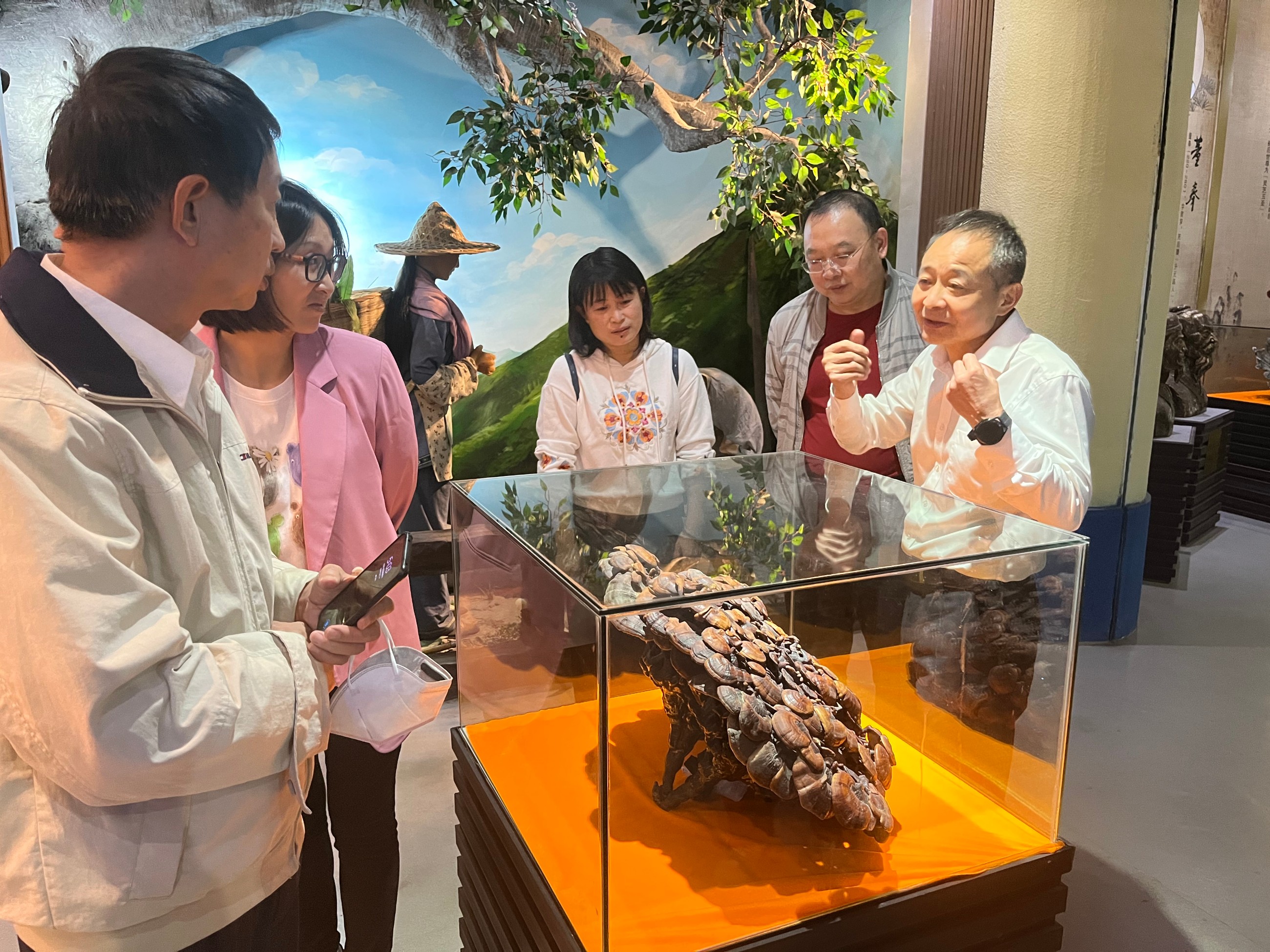 杭州亞運(yùn)會(huì)官方靈芝產(chǎn)品供應(yīng)商|杭州亞運(yùn)會(huì)官方供應(yīng)商|中國靈芝十大品牌|仙客來靈芝|仙客來靈芝破壁孢子粉|仙客來孢子油|仙客來靈芝飲片|仙客來破壁孢子粉|靈芝孢子油|孢子粉|靈芝破壁孢子粉|靈芝|中華老字號(hào) 杭州亞運(yùn)會(huì)官方靈芝產(chǎn)品供應(yīng)商|杭州亞運(yùn)會(huì)官方供應(yīng)商|中國靈芝十大品牌|仙客來靈芝|仙客來靈芝破壁孢子粉|仙客來孢子油|仙客來靈芝飲片|仙客來破壁孢子粉|靈芝孢子油|孢子粉|靈芝破壁孢子粉|靈芝|中華老字號(hào)