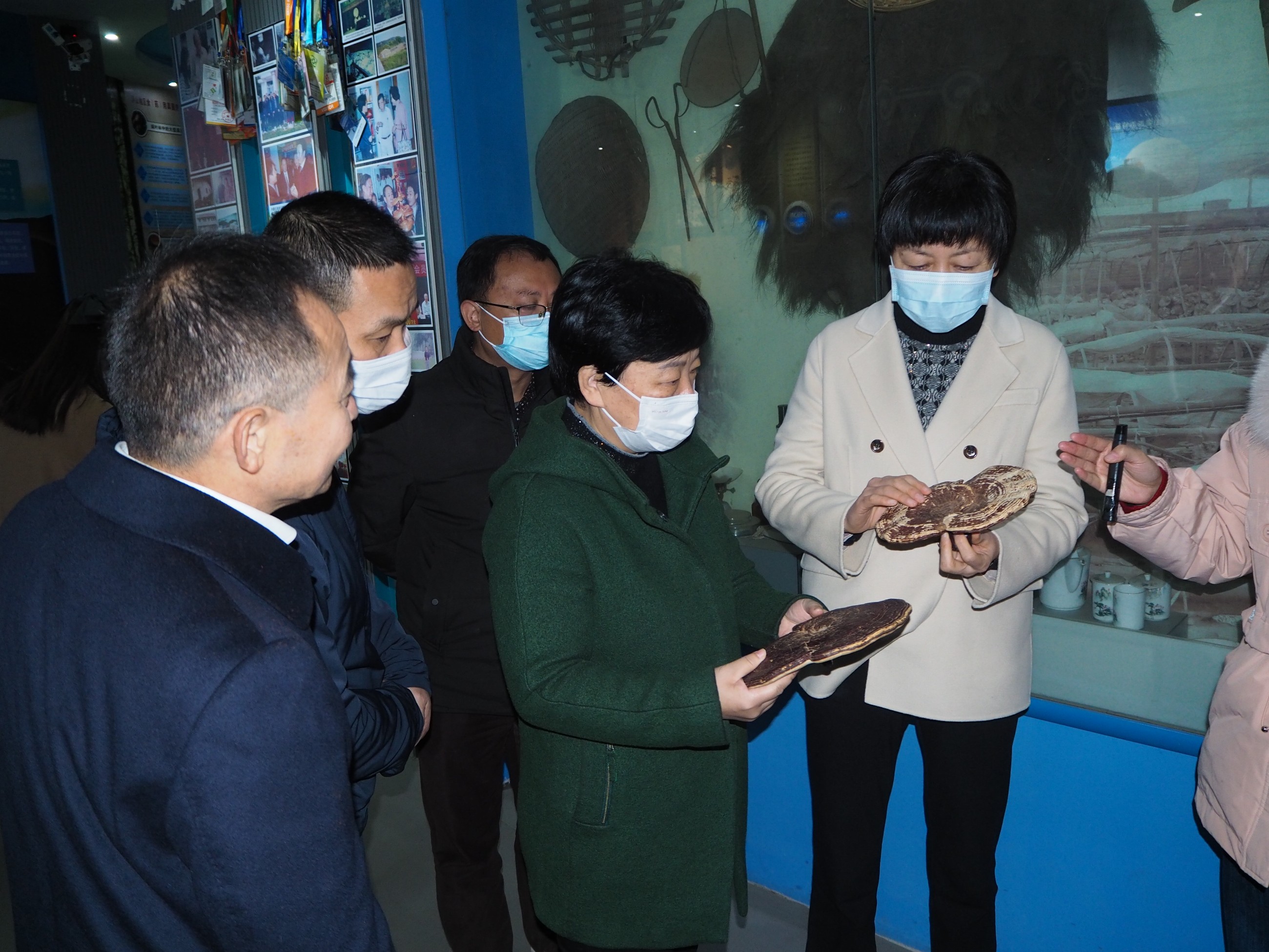 杭州亞運(yùn)會(huì)官方靈芝產(chǎn)品供應(yīng)商|杭州亞運(yùn)會(huì)官方供應(yīng)商|中國(guó)靈芝十大品牌|仙客來靈芝|仙客來靈芝破壁孢子粉|仙客來孢子油|仙客來靈芝飲片|仙客來破壁孢子粉|靈芝孢子油|孢子粉|靈芝破壁孢子粉|靈芝|中華老字號(hào) 杭州亞運(yùn)會(huì)官方靈芝產(chǎn)品供應(yīng)商|杭州亞運(yùn)會(huì)官方供應(yīng)商|中國(guó)靈芝十大品牌|仙客來靈芝|仙客來靈芝破壁孢子粉|仙客來孢子油|仙客來靈芝飲片|仙客來破壁孢子粉|靈芝孢子油|孢子粉|靈芝破壁孢子粉|靈芝|中華老字號(hào)