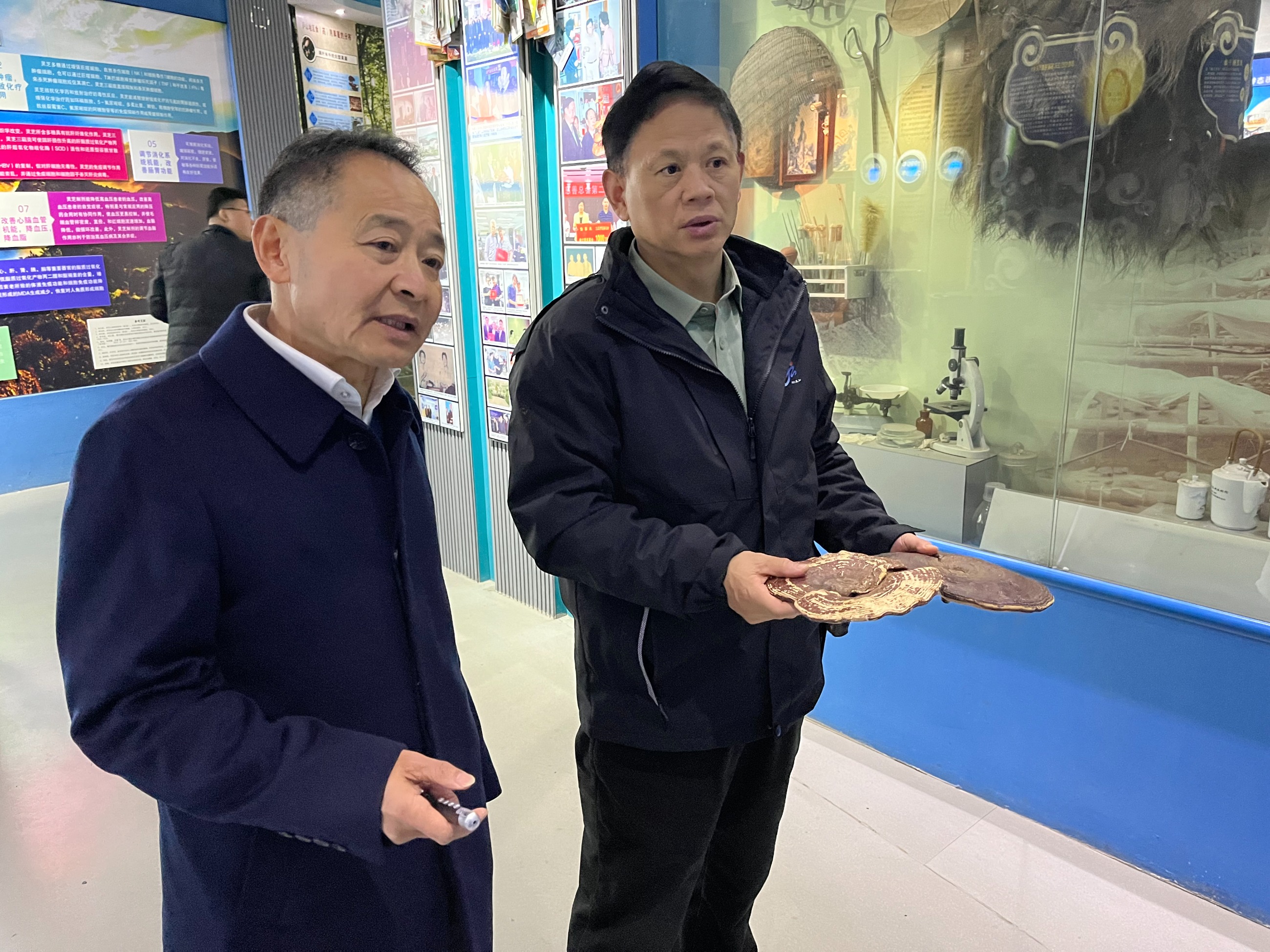 杭州亞運(yùn)會(huì)官方靈芝產(chǎn)品供應(yīng)商|杭州亞運(yùn)會(huì)官方供應(yīng)商|中國(guó)靈芝十大品牌|仙客來靈芝|仙客來靈芝破壁孢子粉|仙客來孢子油|仙客來靈芝飲片|仙客來破壁孢子粉|靈芝孢子油|孢子粉|靈芝破壁孢子粉|靈芝|中華老字號(hào) 杭州亞運(yùn)會(huì)官方靈芝產(chǎn)品供應(yīng)商|杭州亞運(yùn)會(huì)官方供應(yīng)商|中國(guó)靈芝十大品牌|仙客來靈芝|仙客來靈芝破壁孢子粉|仙客來孢子油|仙客來靈芝飲片|仙客來破壁孢子粉|靈芝孢子油|孢子粉|靈芝破壁孢子粉|靈芝|中華老字號(hào)