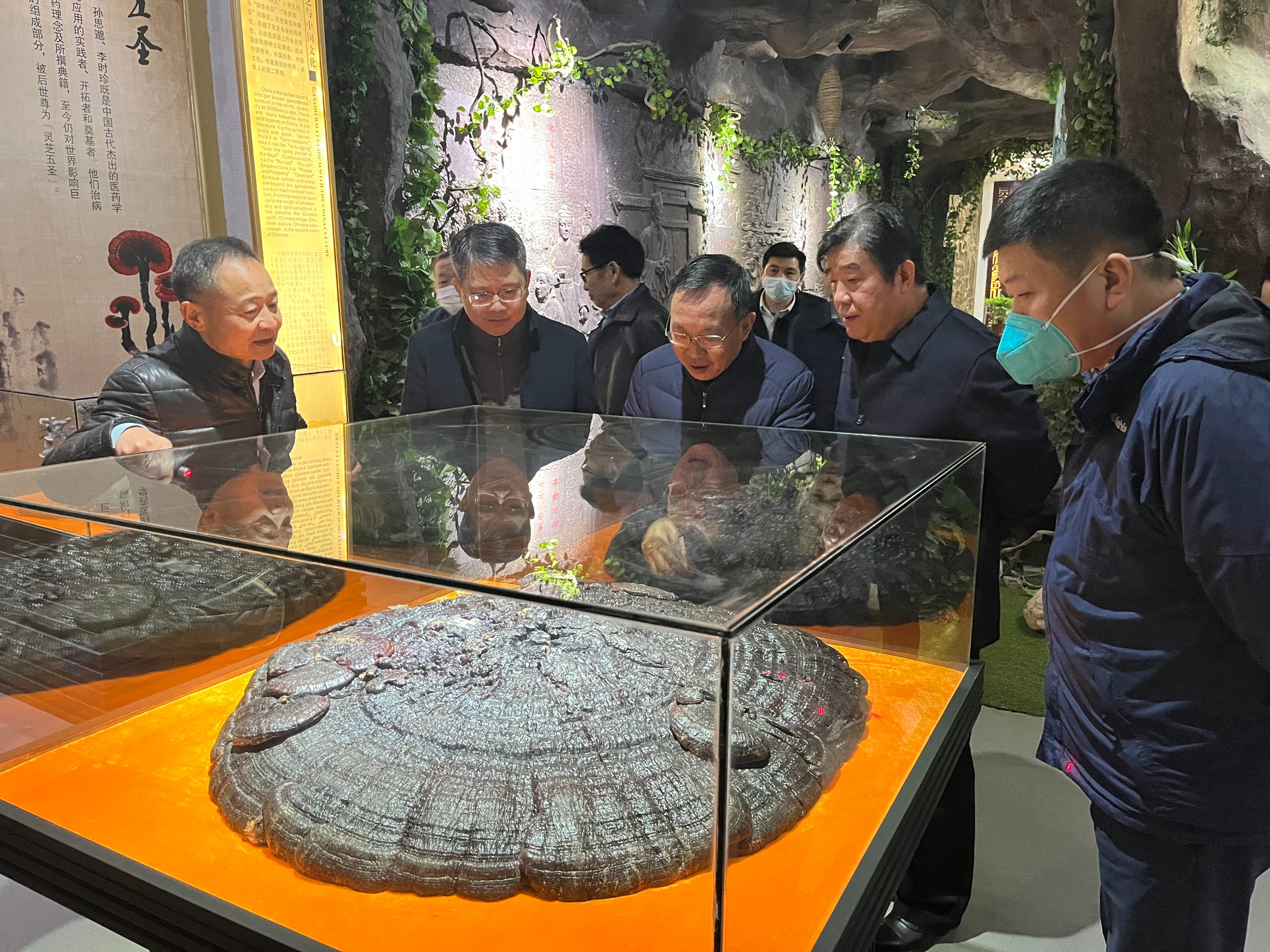 杭州亞運(yùn)會官方靈芝產(chǎn)品供應(yīng)商|杭州亞運(yùn)會官方供應(yīng)商|中國靈芝十大品牌|仙客來靈芝|仙客來靈芝破壁孢子粉|仙客來孢子油|仙客來靈芝飲片|仙客來破壁孢子粉|靈芝孢子油|孢子粉|靈芝破壁孢子粉|靈芝|中華老字號 杭州亞運(yùn)會官方靈芝產(chǎn)品供應(yīng)商|杭州亞運(yùn)會官方供應(yīng)商|中國靈芝十大品牌|仙客來靈芝|仙客來靈芝破壁孢子粉|仙客來孢子油|仙客來靈芝飲片|仙客來破壁孢子粉|靈芝孢子油|孢子粉|靈芝破壁孢子粉|靈芝|中華老字號