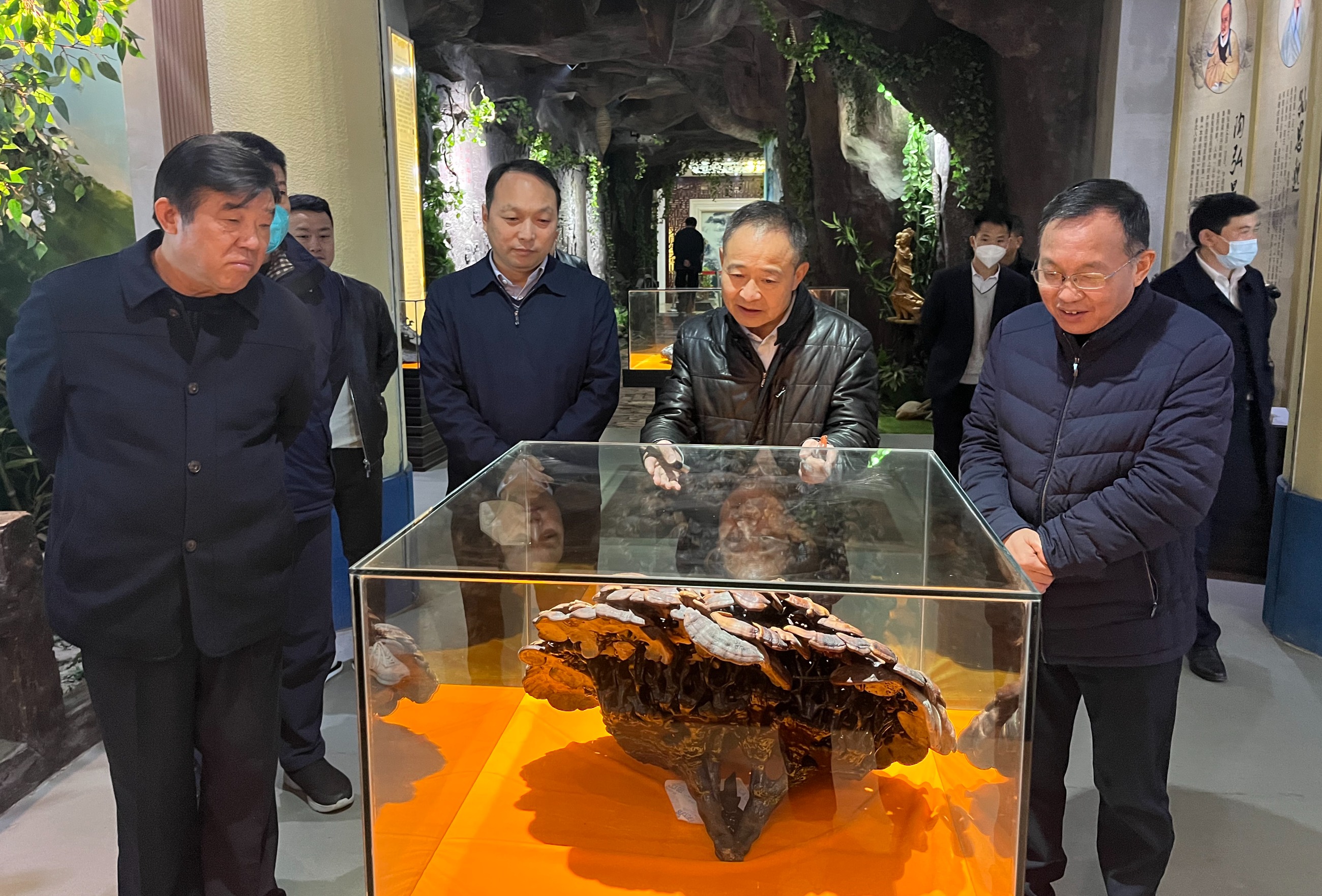 杭州亞運(yùn)會官方靈芝產(chǎn)品供應(yīng)商|杭州亞運(yùn)會官方供應(yīng)商|中國靈芝十大品牌|仙客來靈芝|仙客來靈芝破壁孢子粉|仙客來孢子油|仙客來靈芝飲片|仙客來破壁孢子粉|靈芝孢子油|孢子粉|靈芝破壁孢子粉|靈芝|中華老字號 杭州亞運(yùn)會官方靈芝產(chǎn)品供應(yīng)商|杭州亞運(yùn)會官方供應(yīng)商|中國靈芝十大品牌|仙客來靈芝|仙客來靈芝破壁孢子粉|仙客來孢子油|仙客來靈芝飲片|仙客來破壁孢子粉|靈芝孢子油|孢子粉|靈芝破壁孢子粉|靈芝|中華老字號