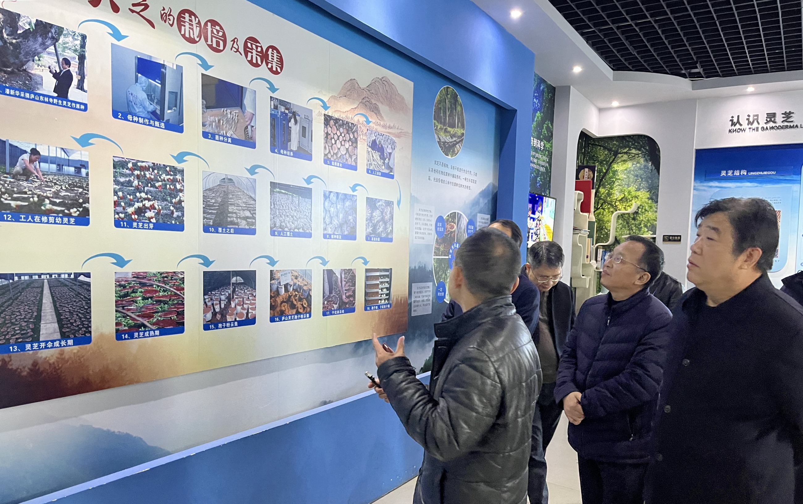 杭州亞運(yùn)會官方靈芝產(chǎn)品供應(yīng)商|杭州亞運(yùn)會官方供應(yīng)商|中國靈芝十大品牌|仙客來靈芝|仙客來靈芝破壁孢子粉|仙客來孢子油|仙客來靈芝飲片|仙客來破壁孢子粉|靈芝孢子油|孢子粉|靈芝破壁孢子粉|靈芝|中華老字號 杭州亞運(yùn)會官方靈芝產(chǎn)品供應(yīng)商|杭州亞運(yùn)會官方供應(yīng)商|中國靈芝十大品牌|仙客來靈芝|仙客來靈芝破壁孢子粉|仙客來孢子油|仙客來靈芝飲片|仙客來破壁孢子粉|靈芝孢子油|孢子粉|靈芝破壁孢子粉|靈芝|中華老字號