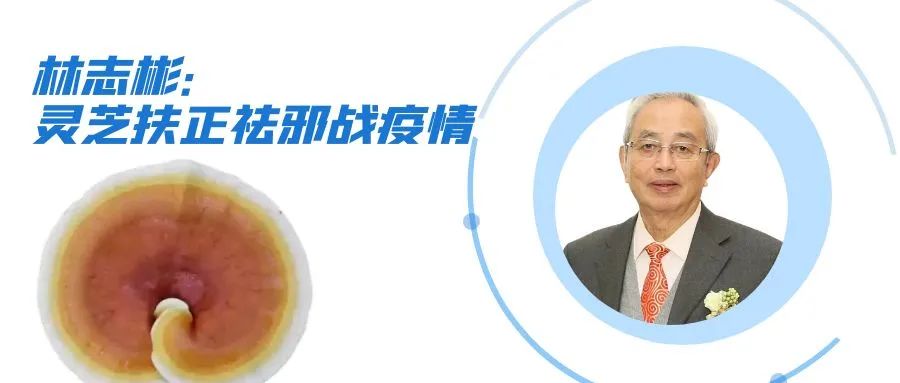 杭州亞運會官方靈芝產(chǎn)品供應商|杭州亞運會官方供應商|中國靈芝十大品牌|仙客來靈芝|仙客來靈芝破壁孢子粉|仙客來孢子油|仙客來靈芝飲片|仙客來破壁孢子粉|靈芝孢子油|孢子粉|靈芝破壁孢子粉|靈芝|中華老字號