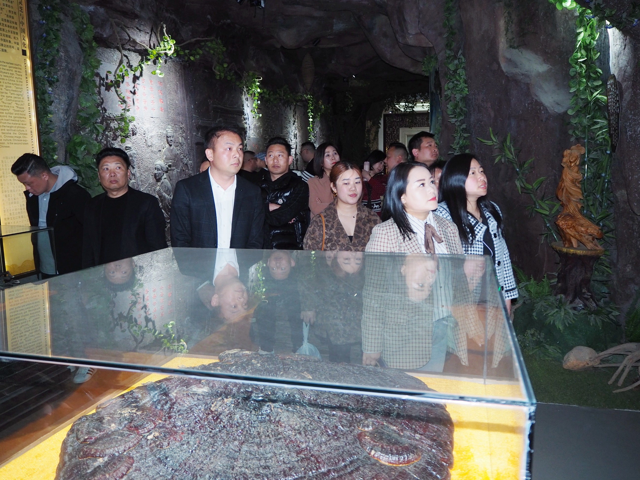 杭州亞運會官方靈芝產(chǎn)品供應商|杭州亞運會官方供應商|中國靈芝十大品牌|仙客來靈芝|仙客來靈芝破壁孢子粉|仙客來孢子油|仙客來靈芝飲片|仙客來破壁孢子粉|靈芝孢子油|孢子粉|靈芝破壁孢子粉|靈芝|中華老字號 杭州亞運會官方靈芝產(chǎn)品供應商|杭州亞運會官方供應商|中國靈芝十大品牌|仙客來靈芝|仙客來靈芝破壁孢子粉|仙客來孢子油|仙客來靈芝飲片|仙客來破壁孢子粉|靈芝孢子油|孢子粉|靈芝破壁孢子粉|靈芝|中華老字號